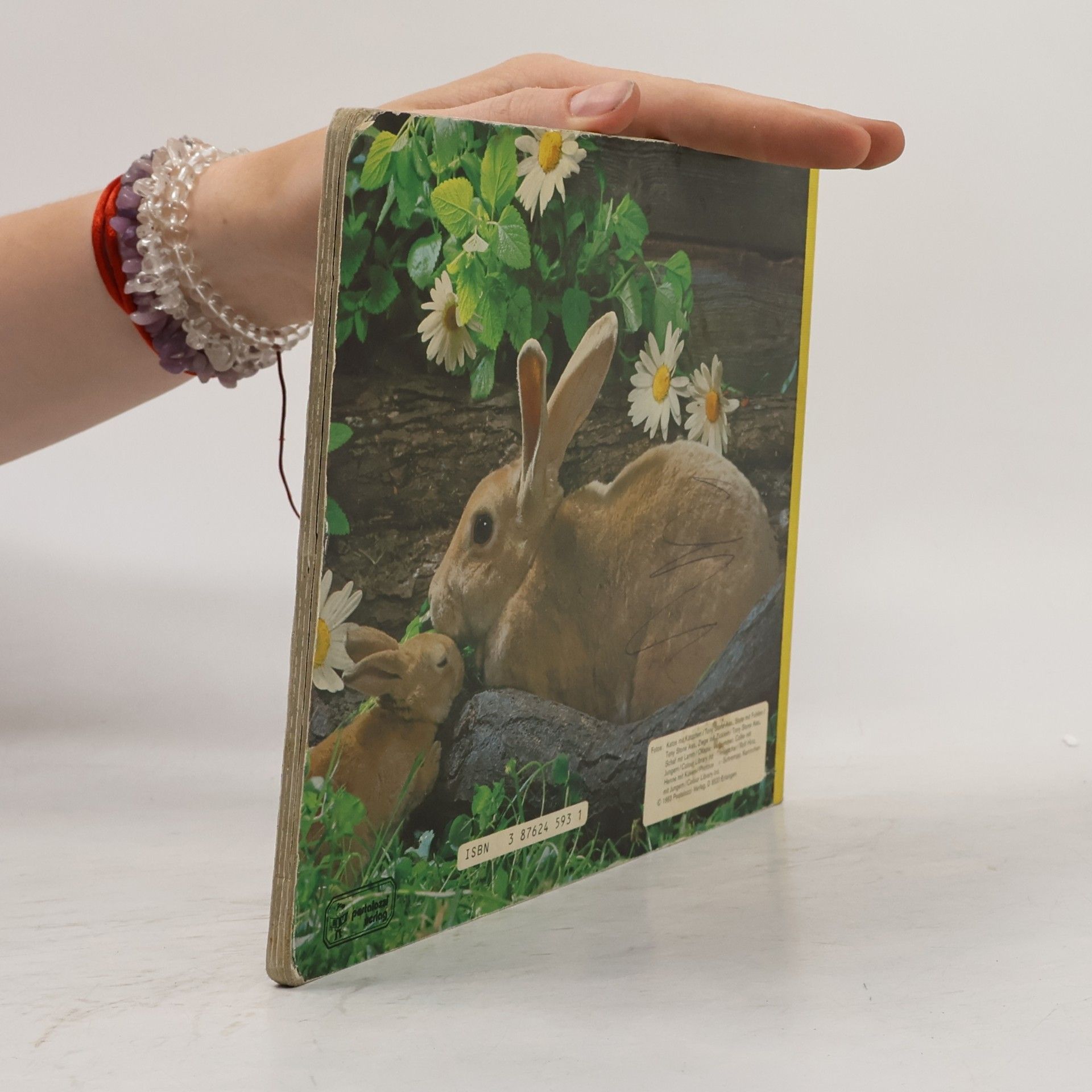 Kolektív autorov Tiere und ihre Kinder