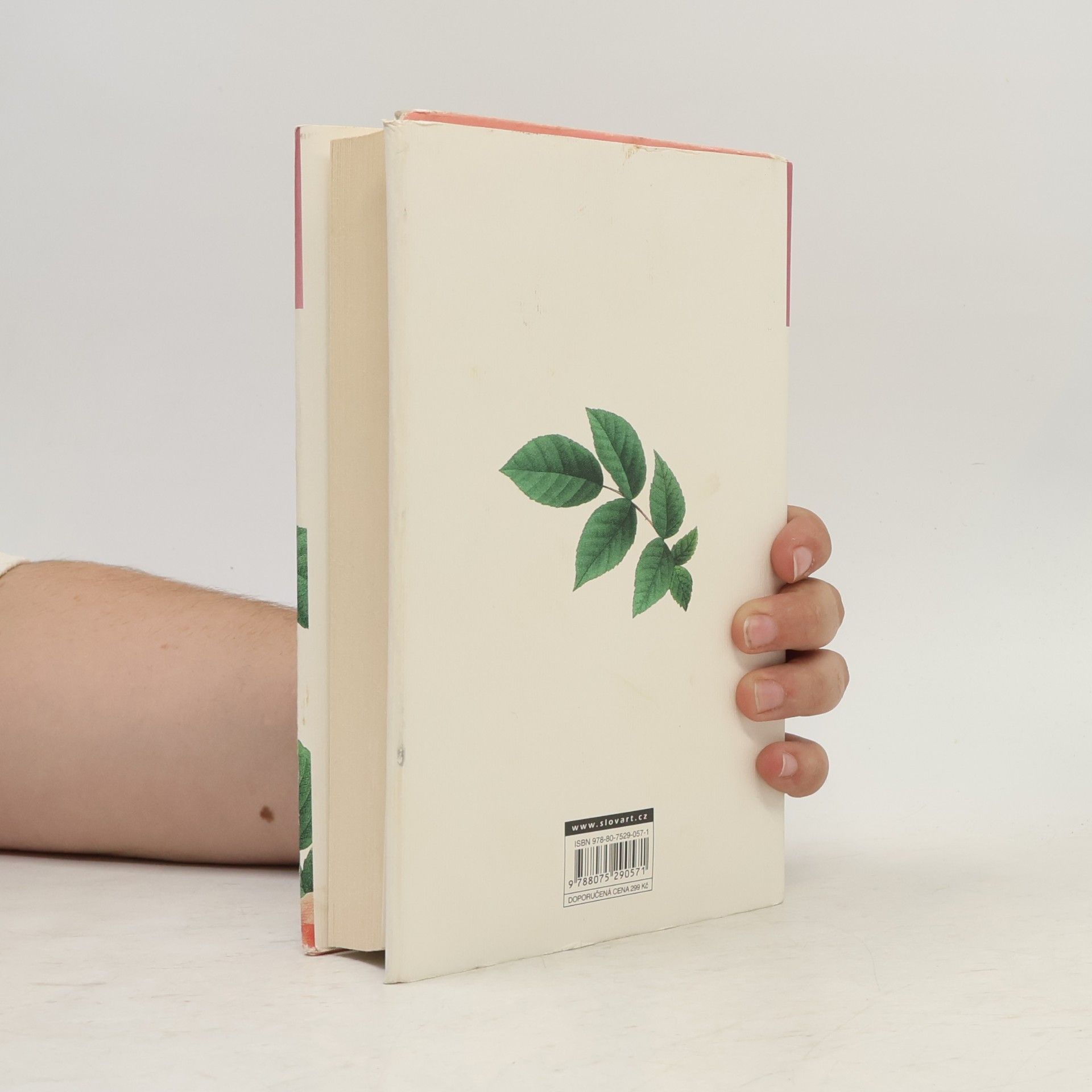 Jane Austen Pýcha a předsudek