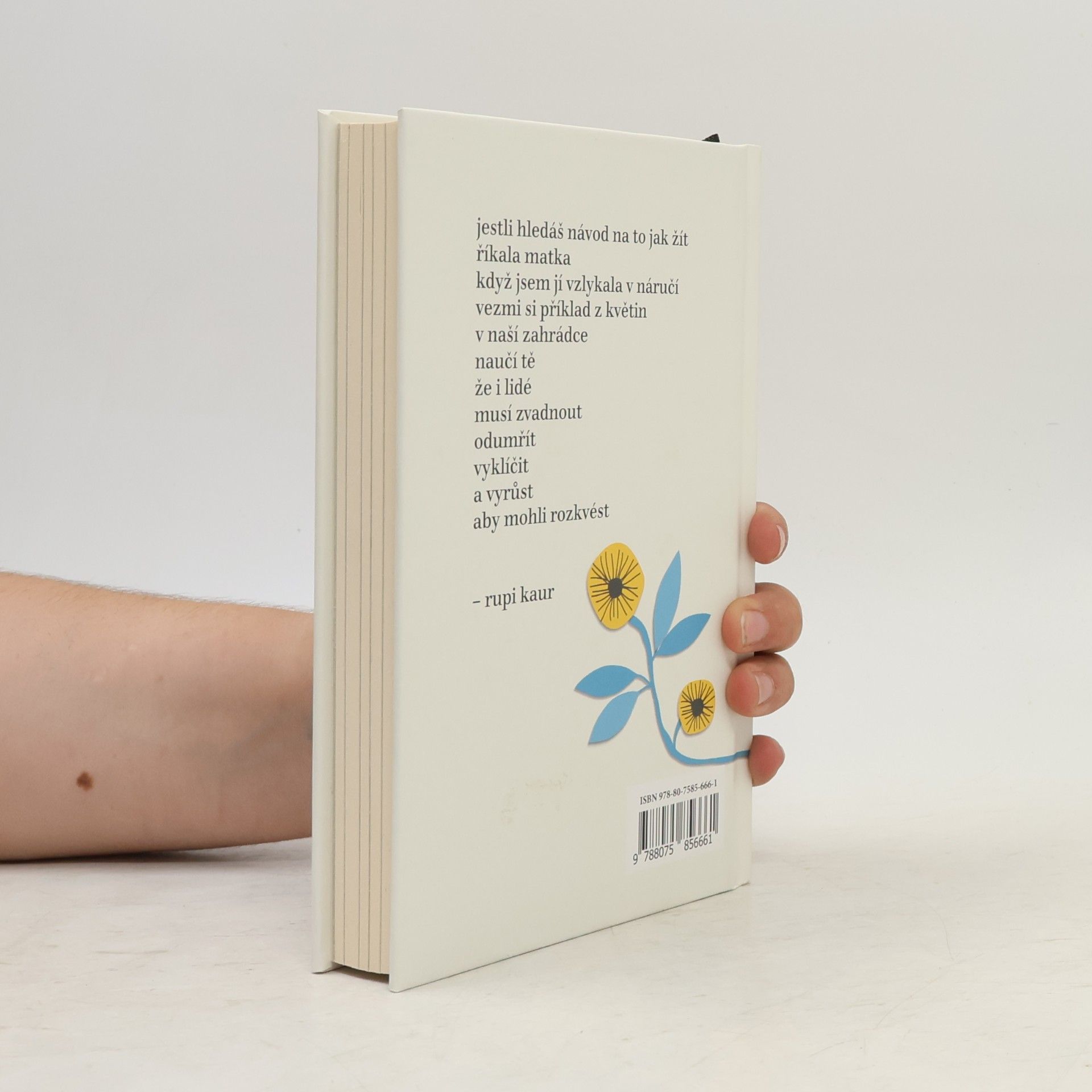 Rupi Kaur Květy slunce