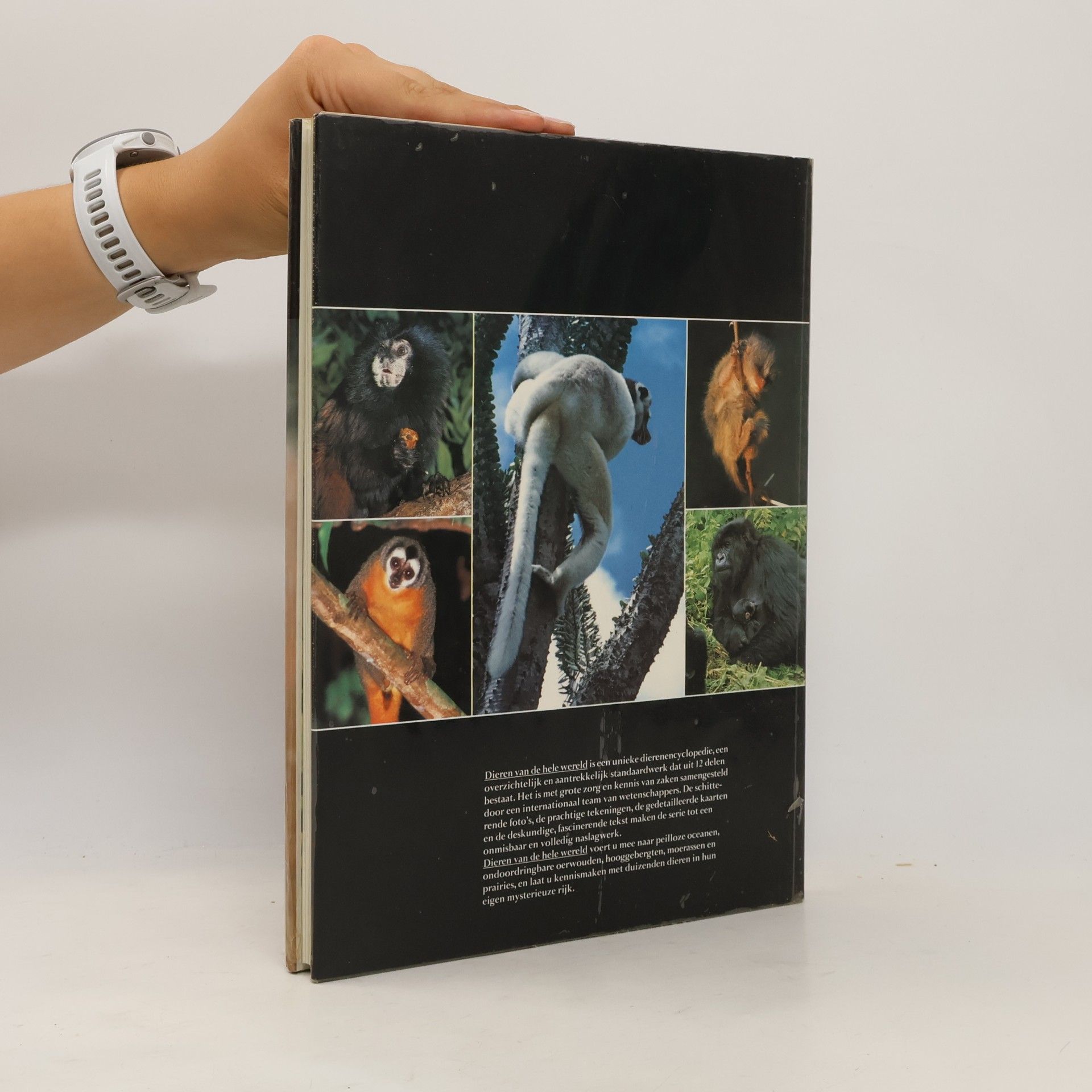 Autorenkollektiv Dieren van de hele Wereld: Apen 3