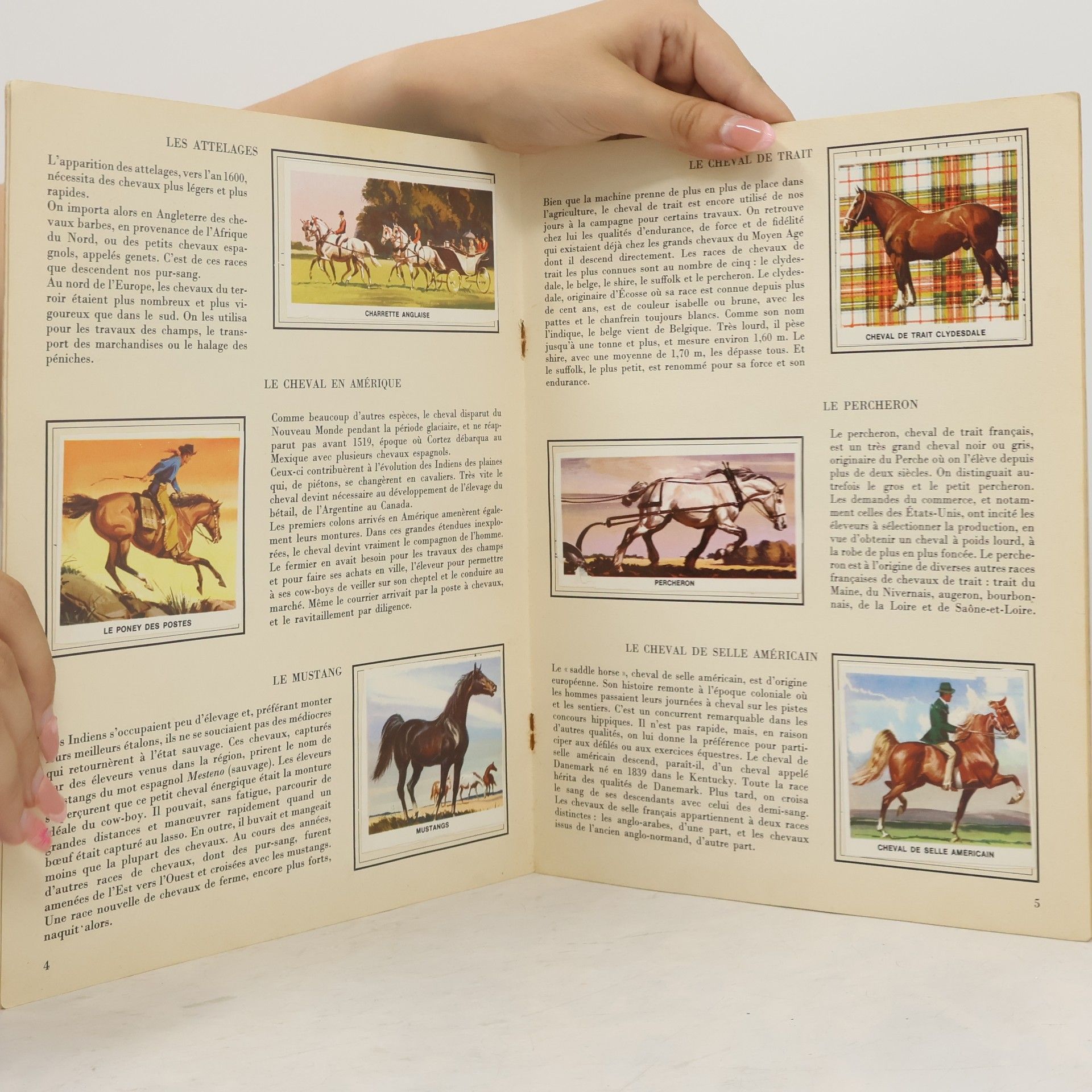 Various authors Encyclopédie par le timbre: Les Chevaux