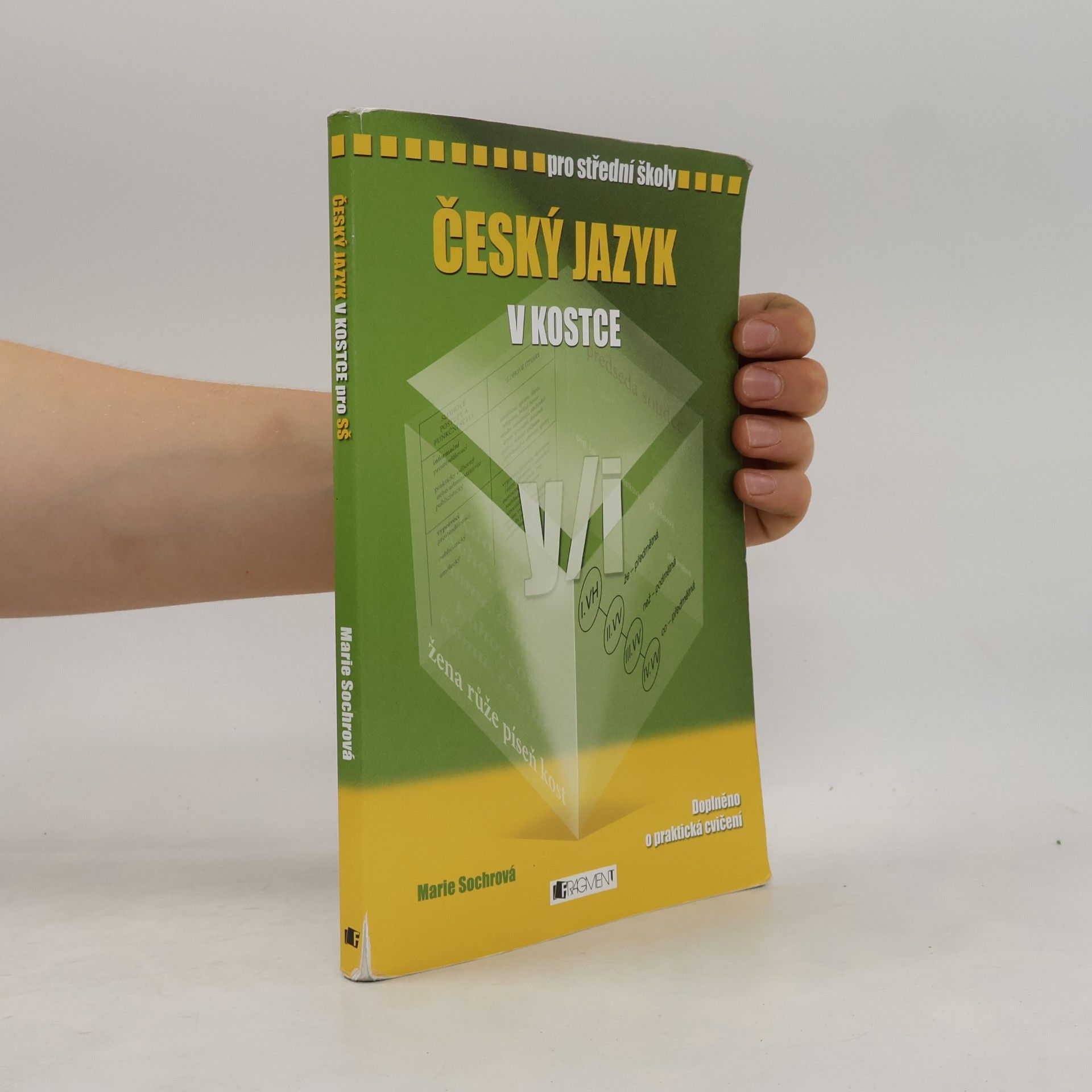 Marie Sochrová Český jazyk v kostce : pro střední školy