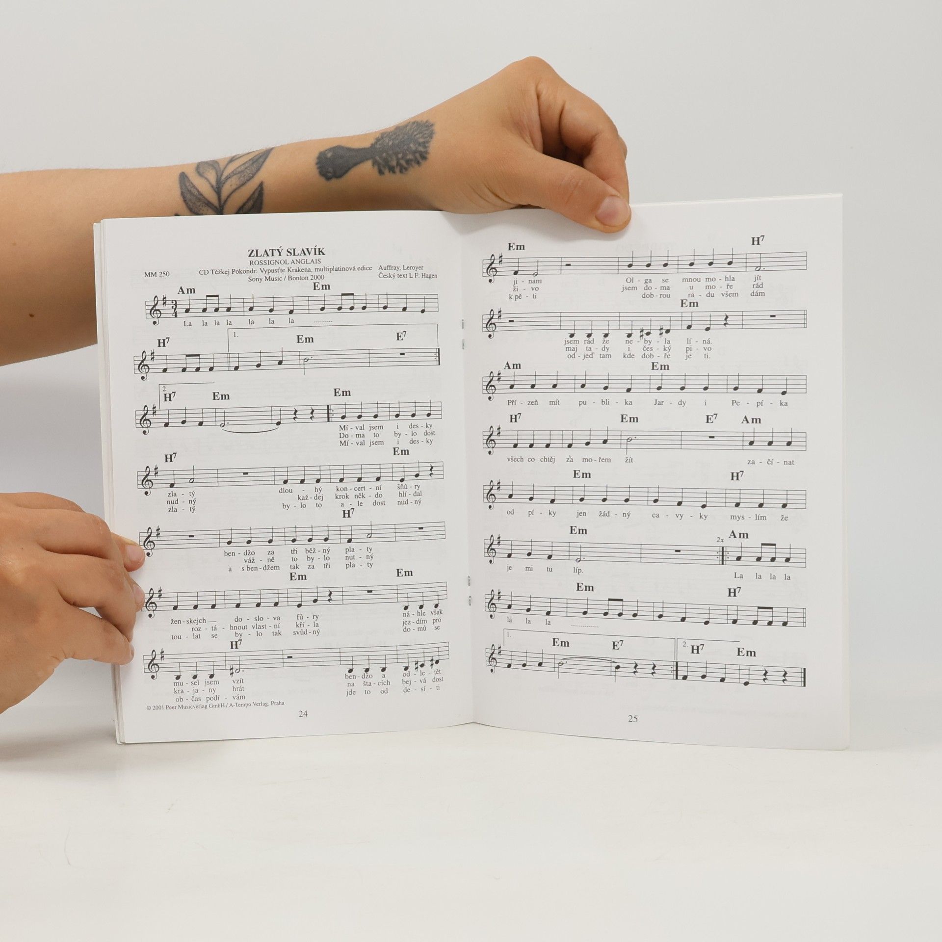 Autorenkollektiv Hity přelomu tisíciletí 4, speciál. Písničky, které zpívá Těžkej Pokondr