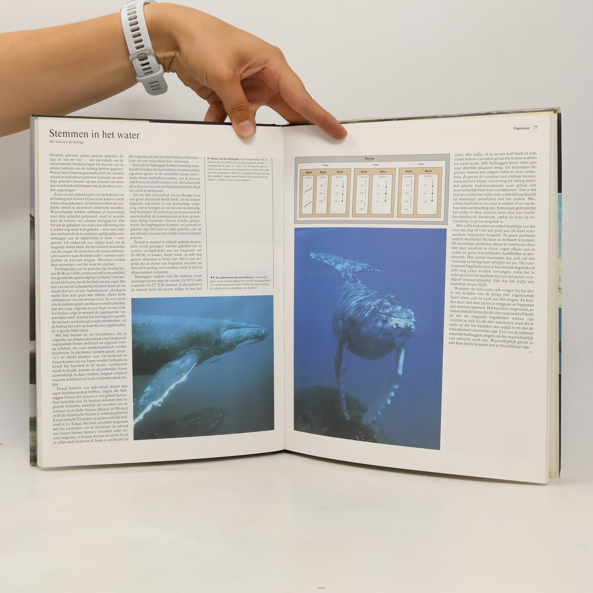 W. Nigel Bonner Dieren van de Hele Wereld - 2: Zeezoogdieren