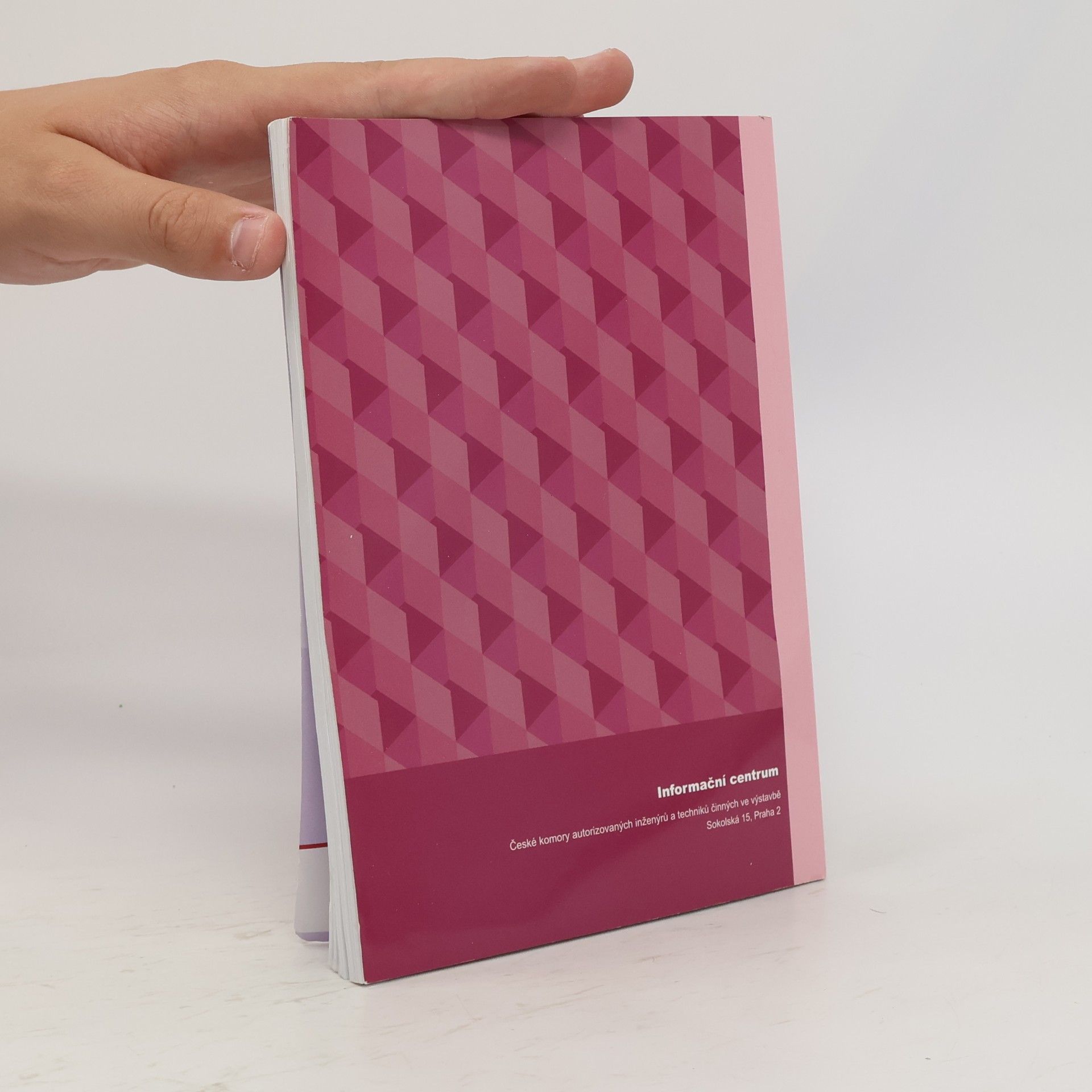 Various authors Autorizovaný inženýr a technik v procesu výstavby