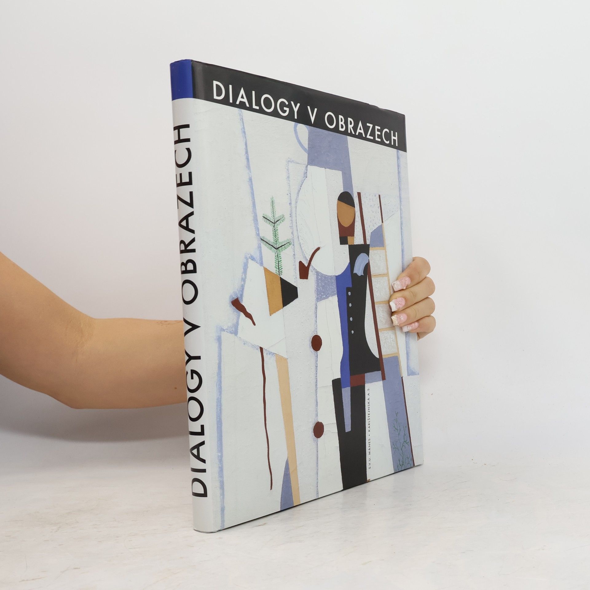 Autorenkollektiv Dialogy v obrazech