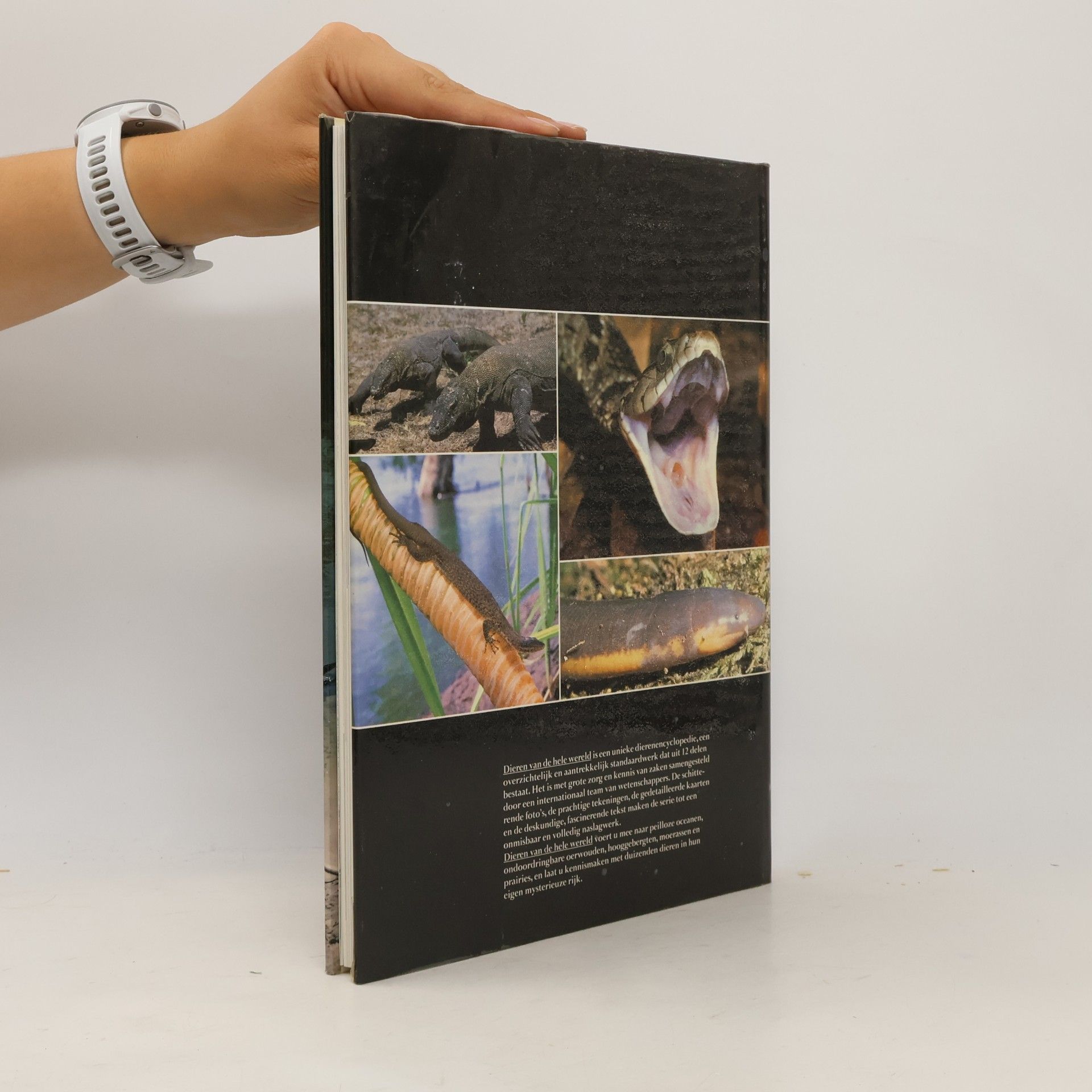 Autorenkollektiv Dieren van de hele Wereld: Reptielen 8