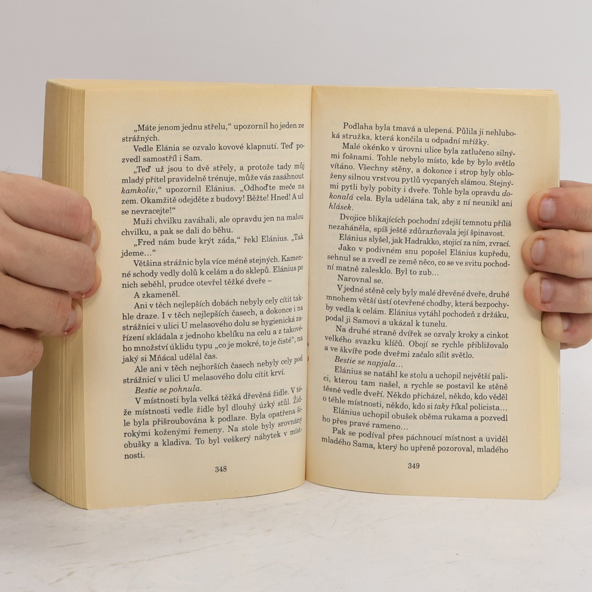 Terry Pratchett Noční hlídka