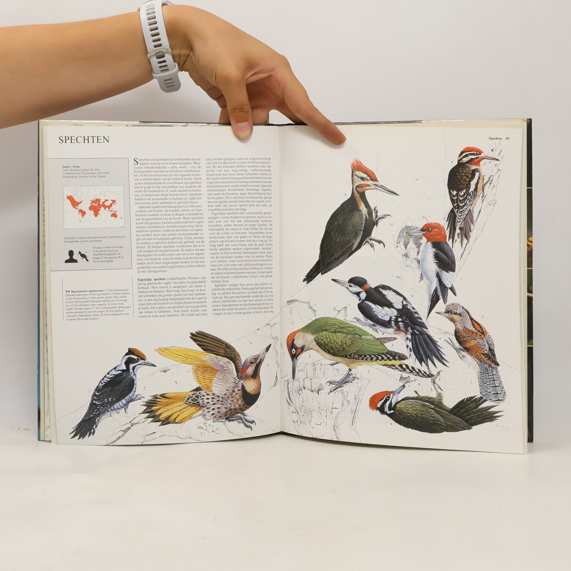 Christopher M. Perrins Dieren van de hele Wereld: Vogels 7
