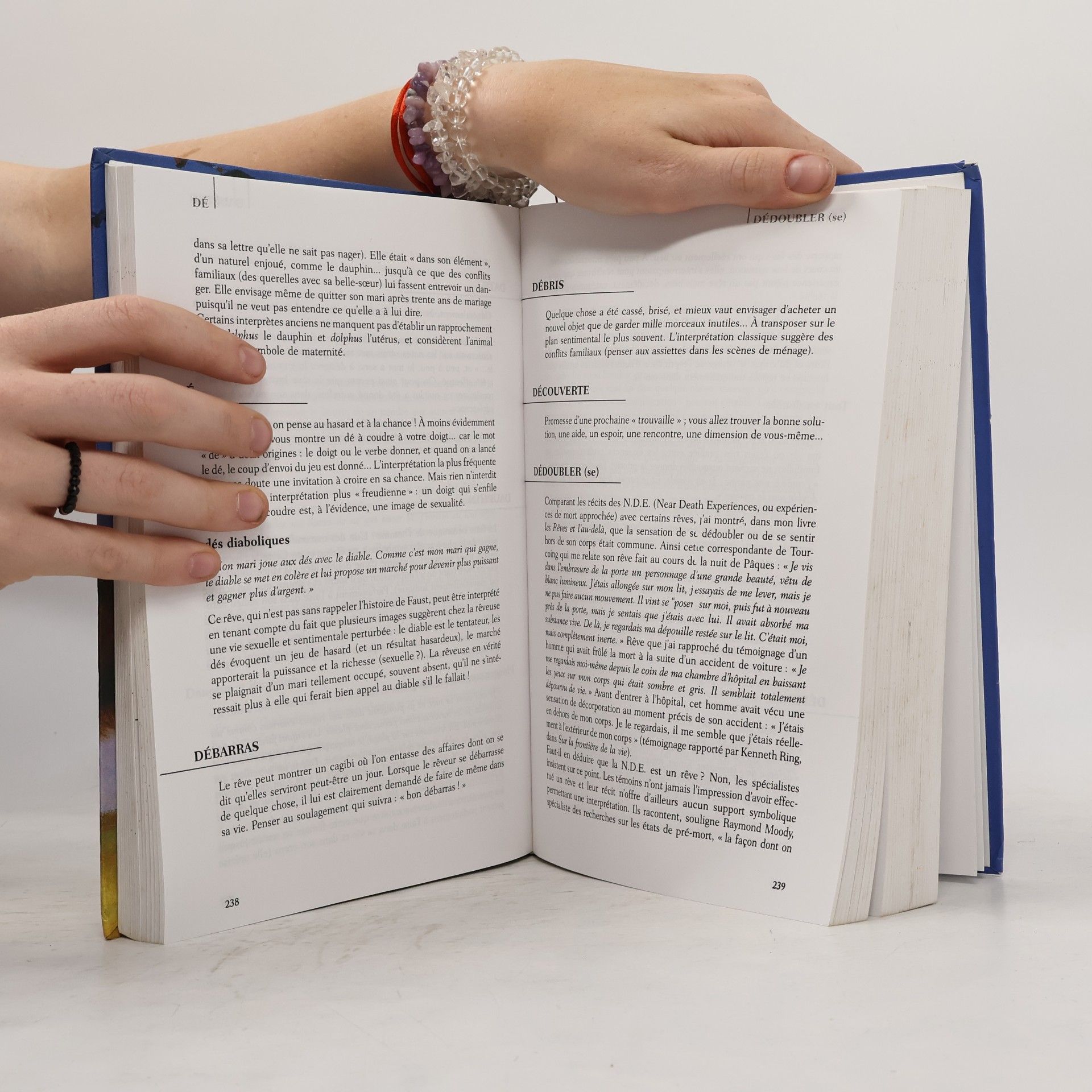Hélène Renard Dictionnaire des rêves