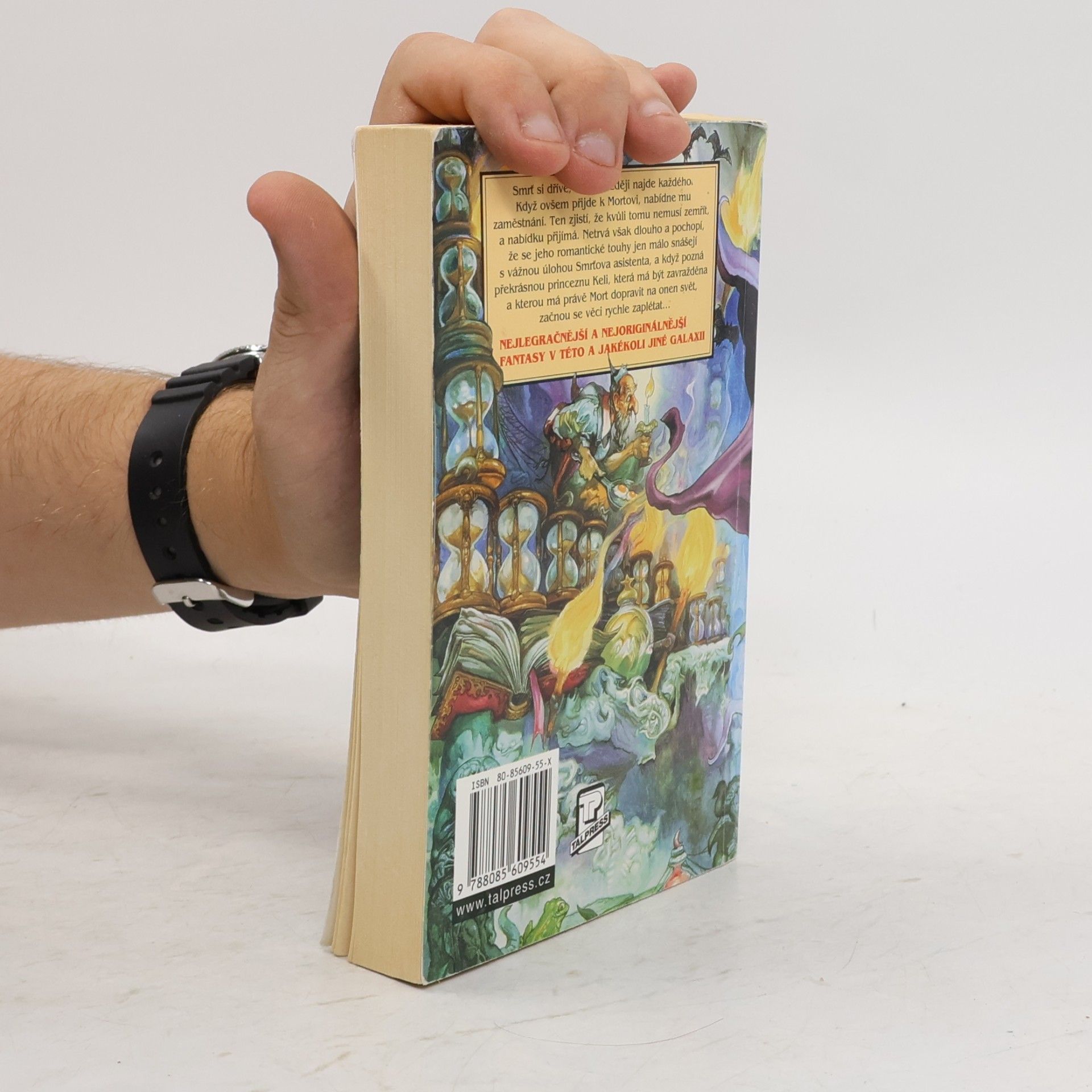 Terry Pratchett Mort