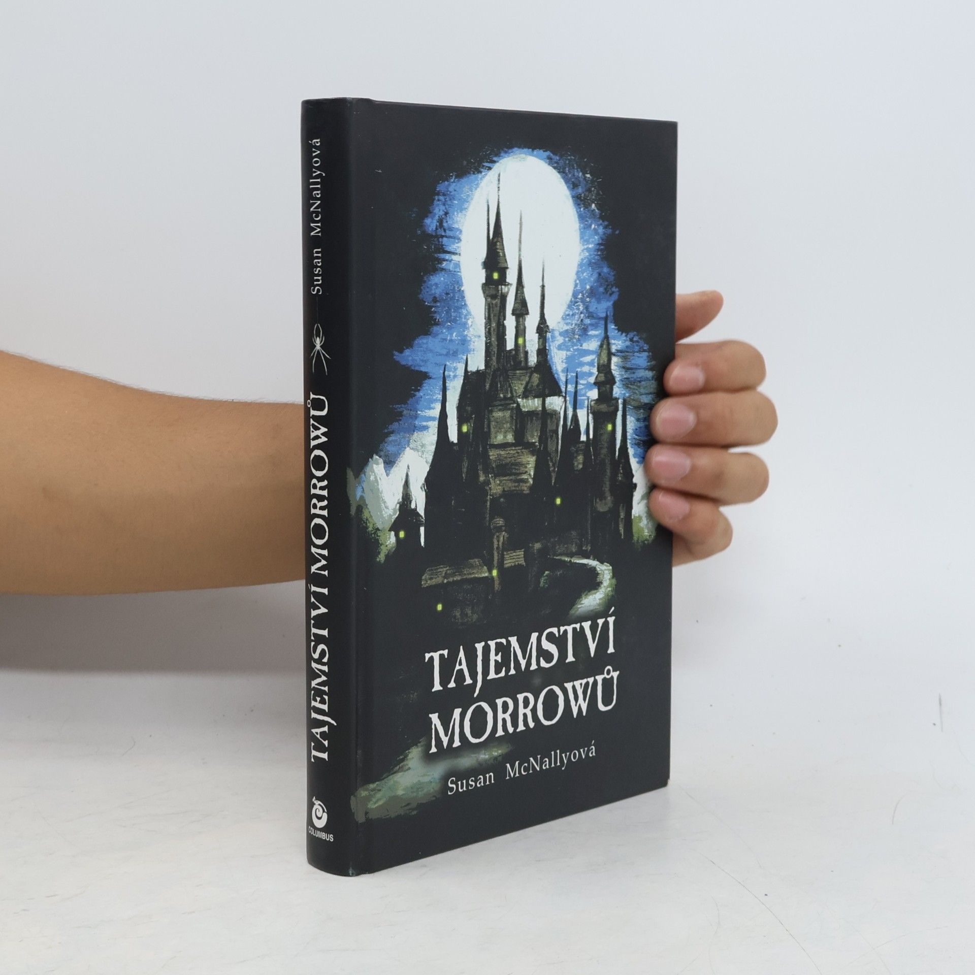 Susan McNally Tajemství Morrowů.