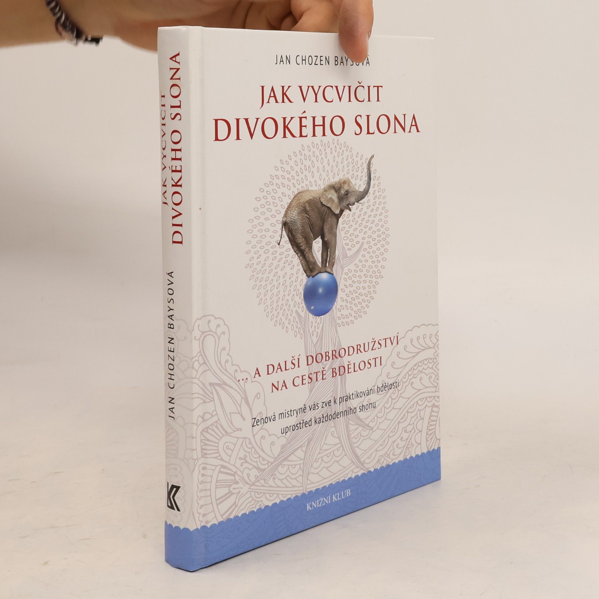 Jan Chozen Bays Jak vycvičit divokého slona...a další dobrodružství na cestě bdělosti