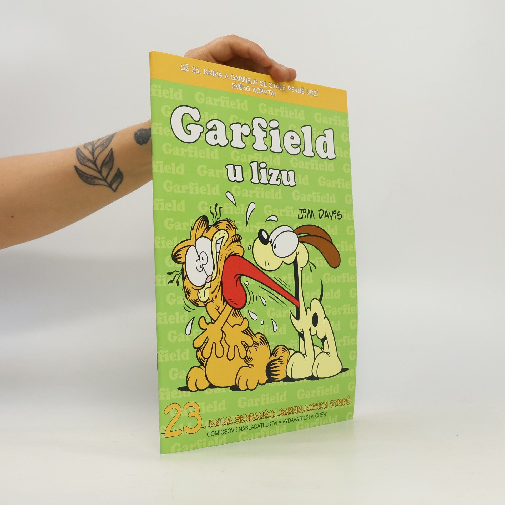 Jim Davis Garfield u lizu
