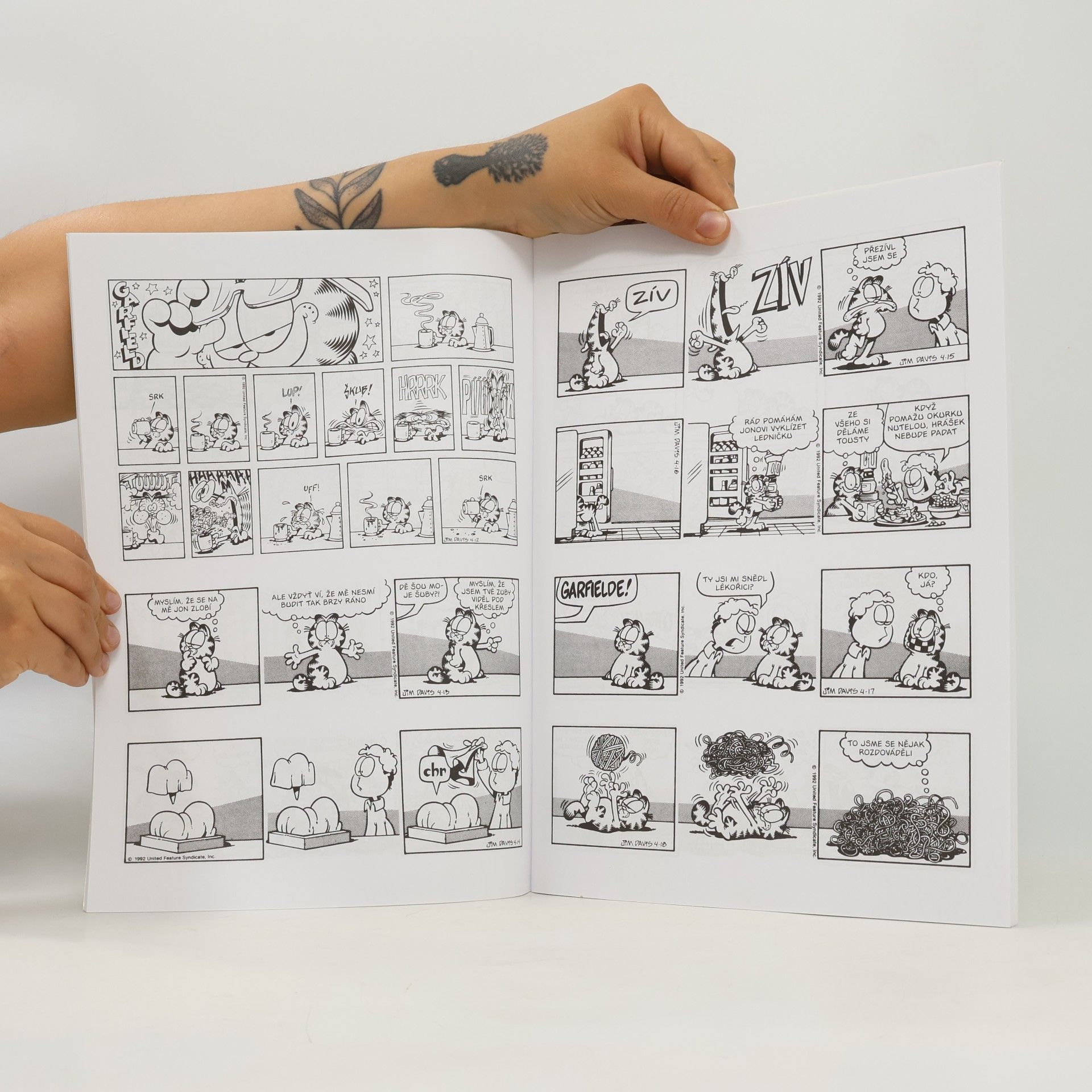 Jim Davis Garfield u lizu