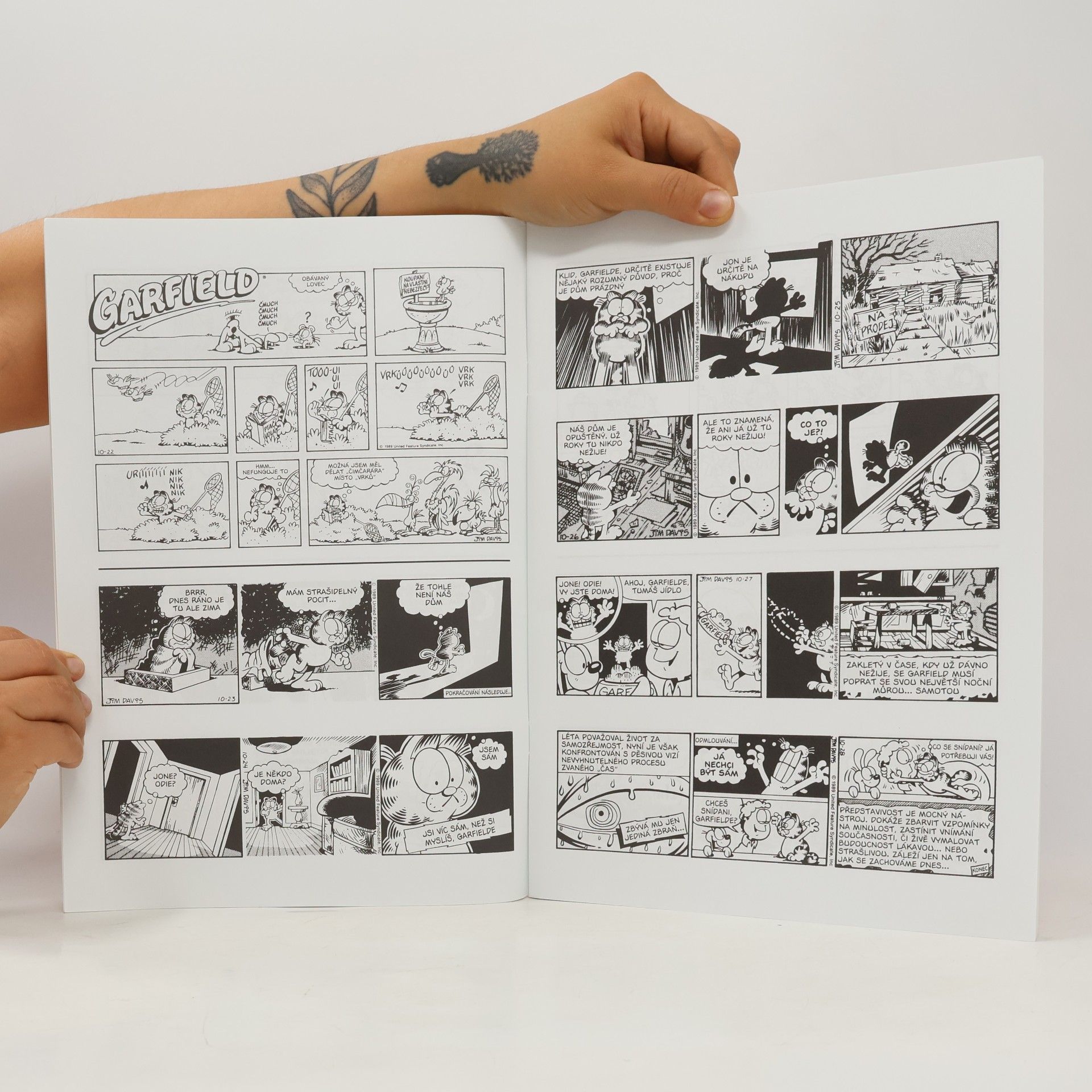 Jim Davis Garfield místo na slunci