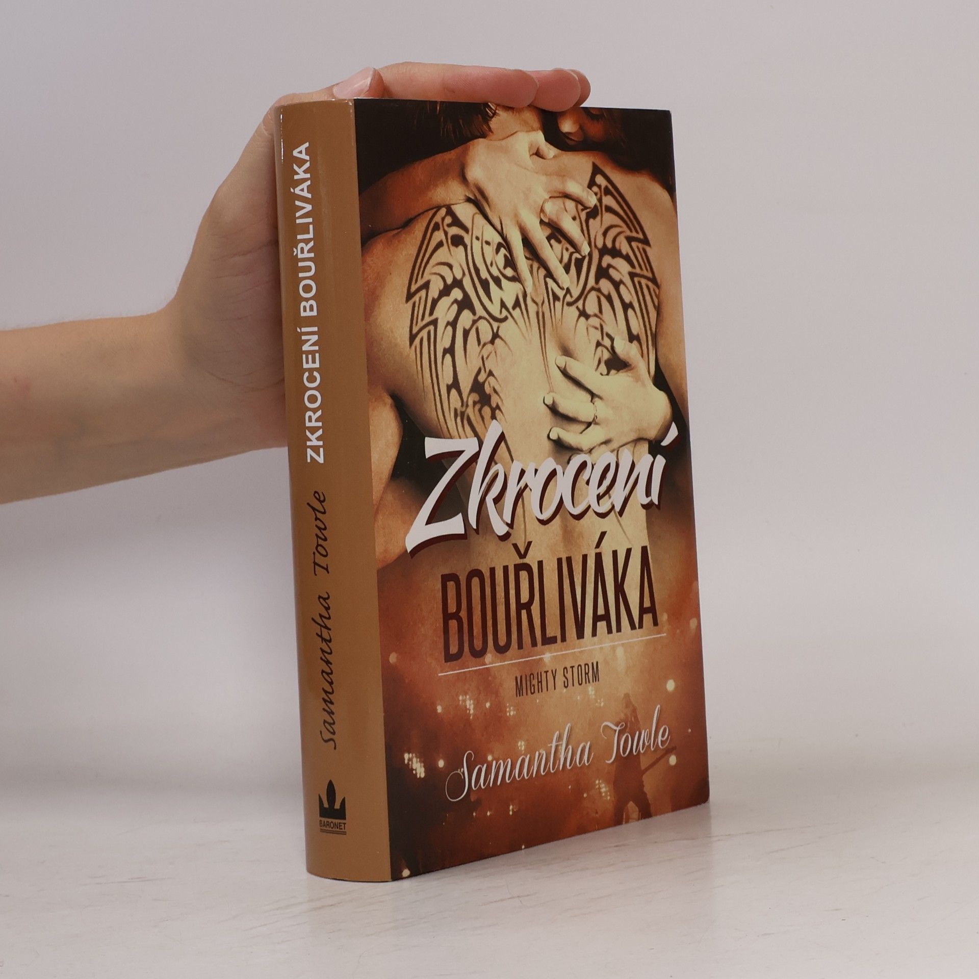 Samantha Towle Zkrocení bouřliváka
