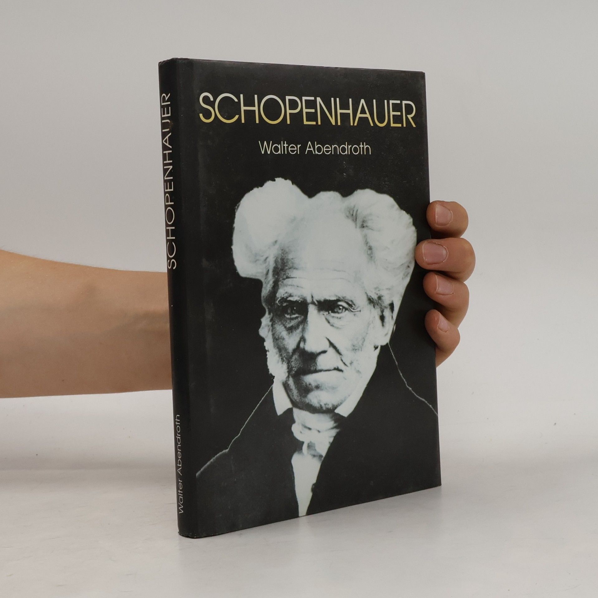 Walter Abendroth Schopenhauer