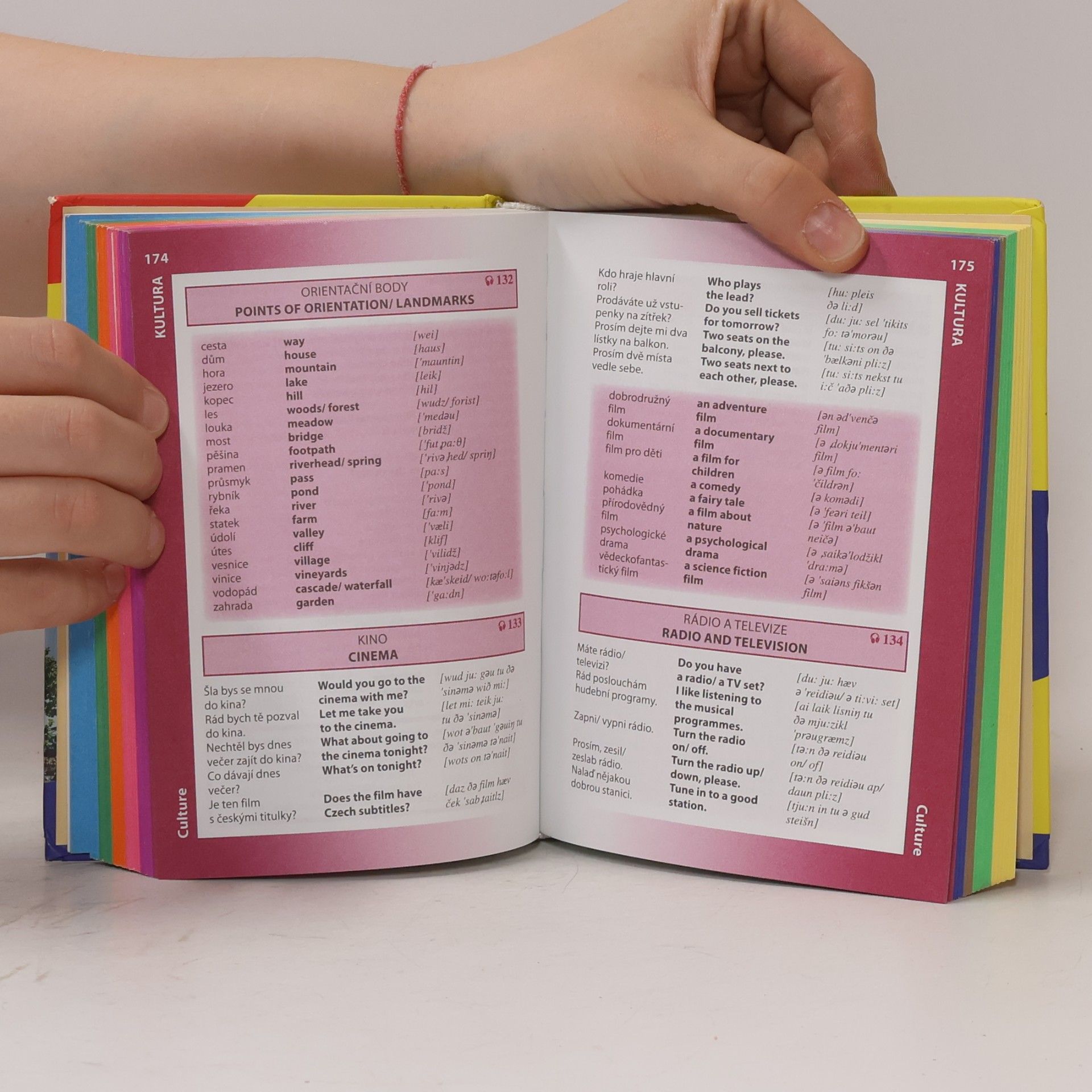 Martina Sobotíková Angličtina. Czech - English Phrase Book & Dictionary