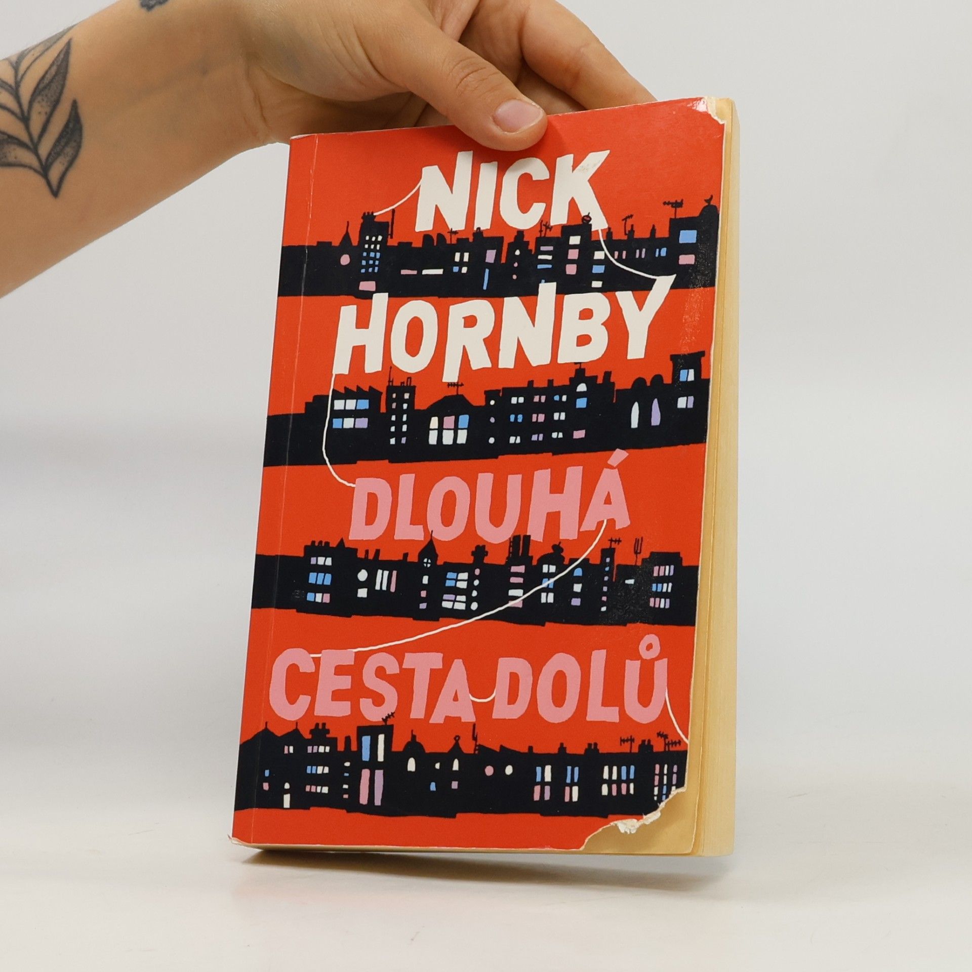 Nick Hornby Dlouhá cesta dolů