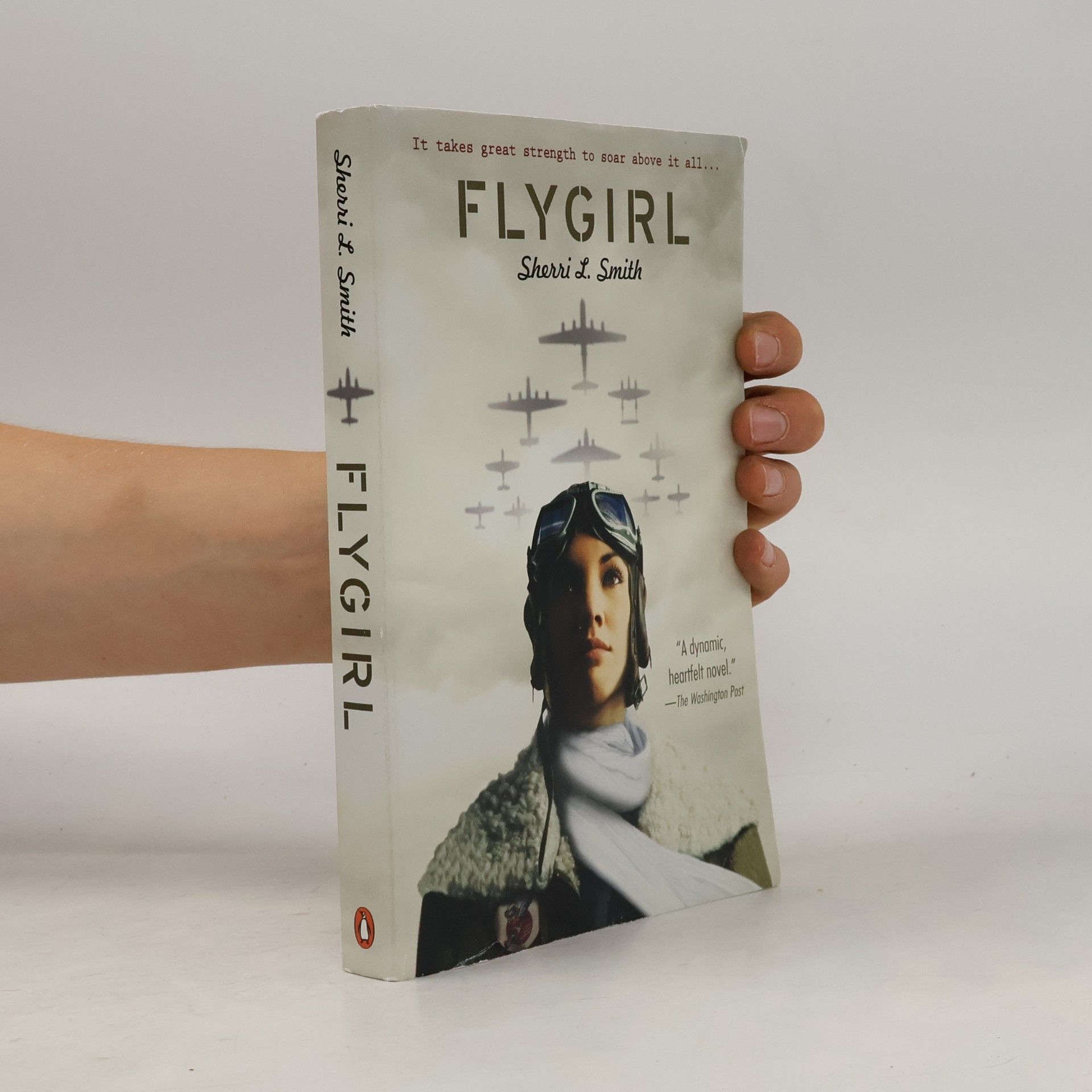 Sherri L. Smith Flygirl
