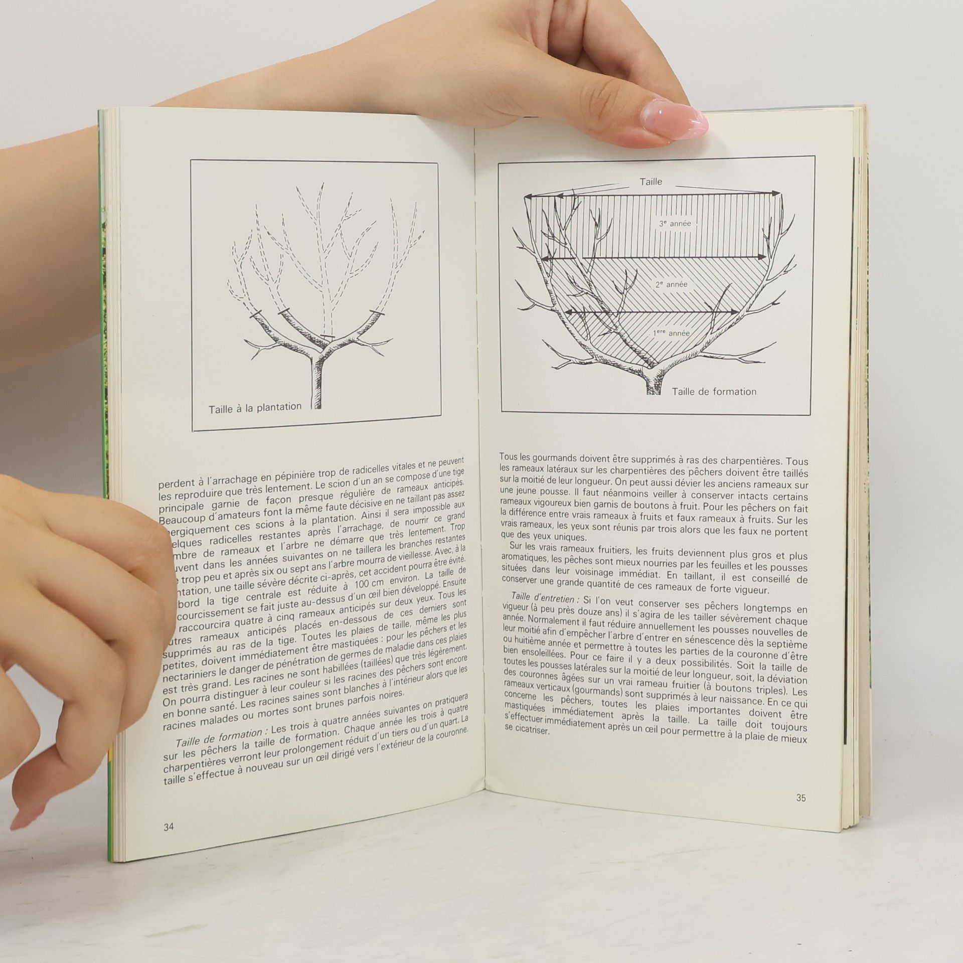Joachim Zech Les arbres fruitiers