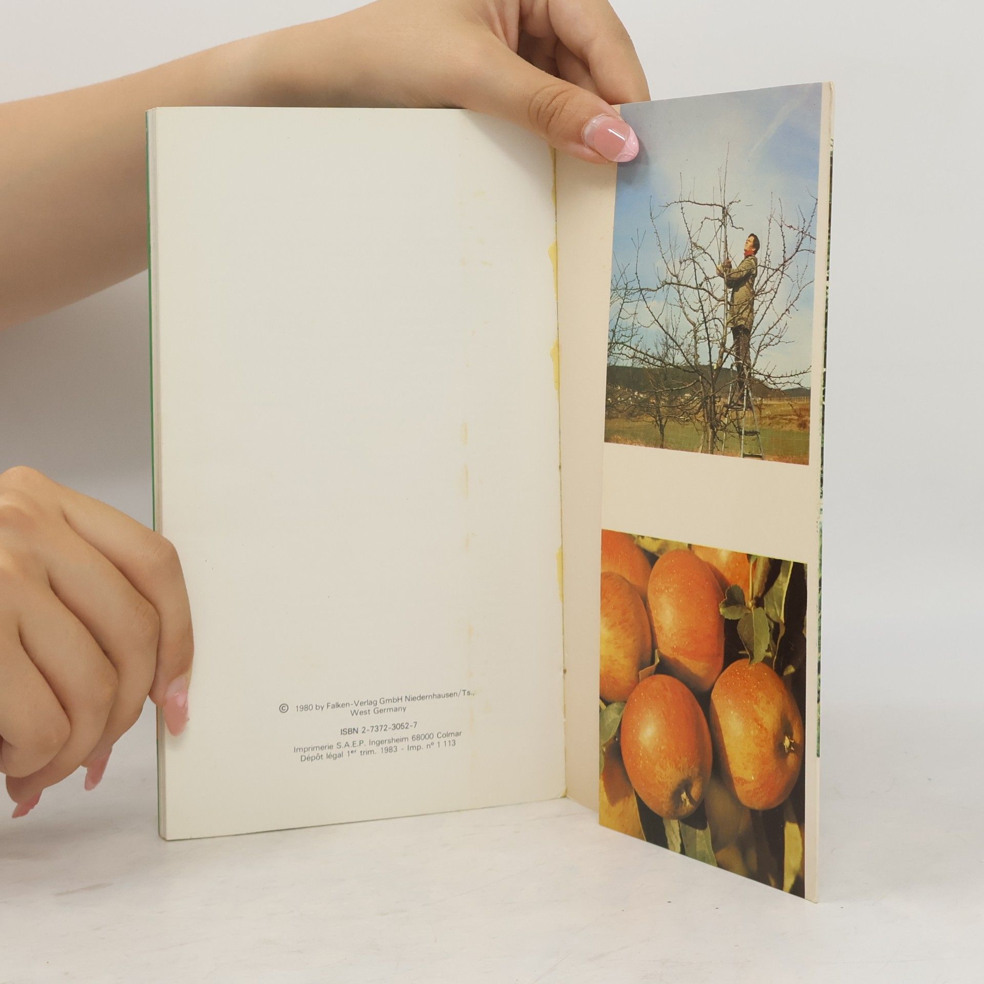 Joachim Zech Les arbres fruitiers