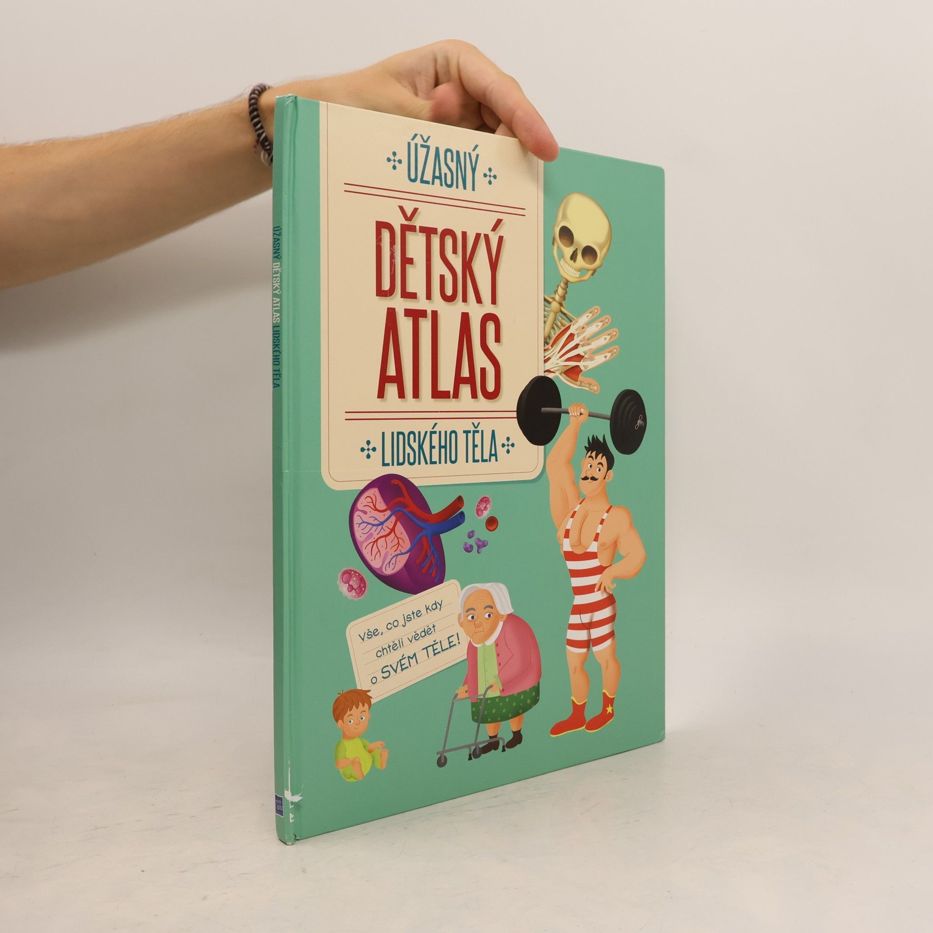 Autorenkollektiv Úžasný dětský atlas lidského těla