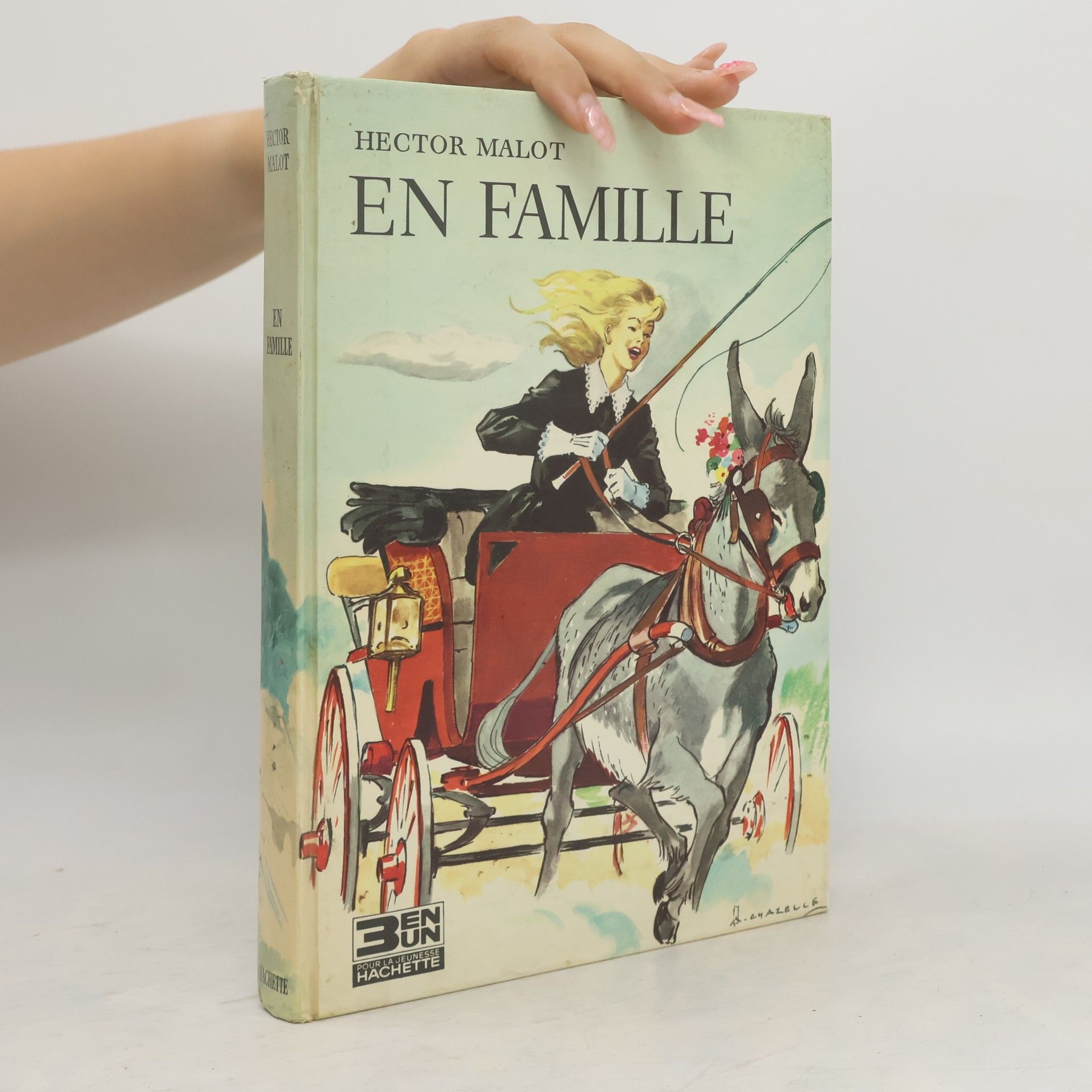 Hector Malot En famille