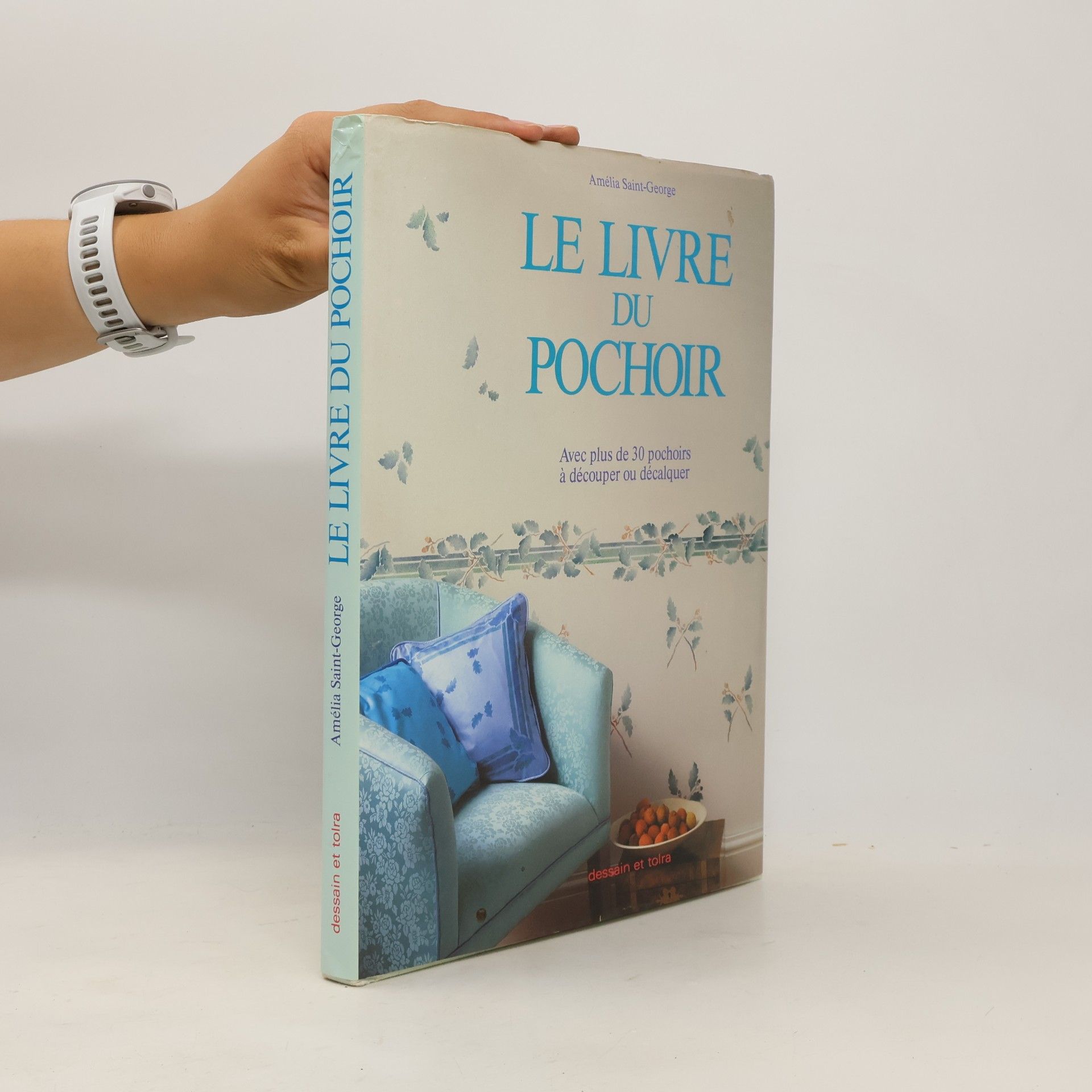 Amelia Saint George Le Livre du pochoir