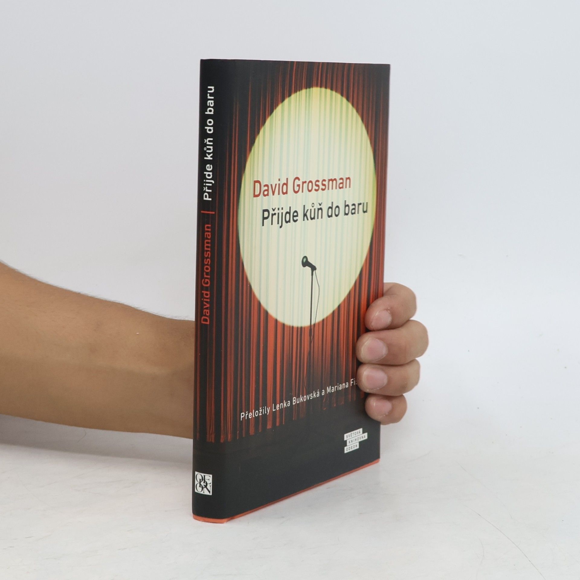 David Grossman Přijde kůň do baru