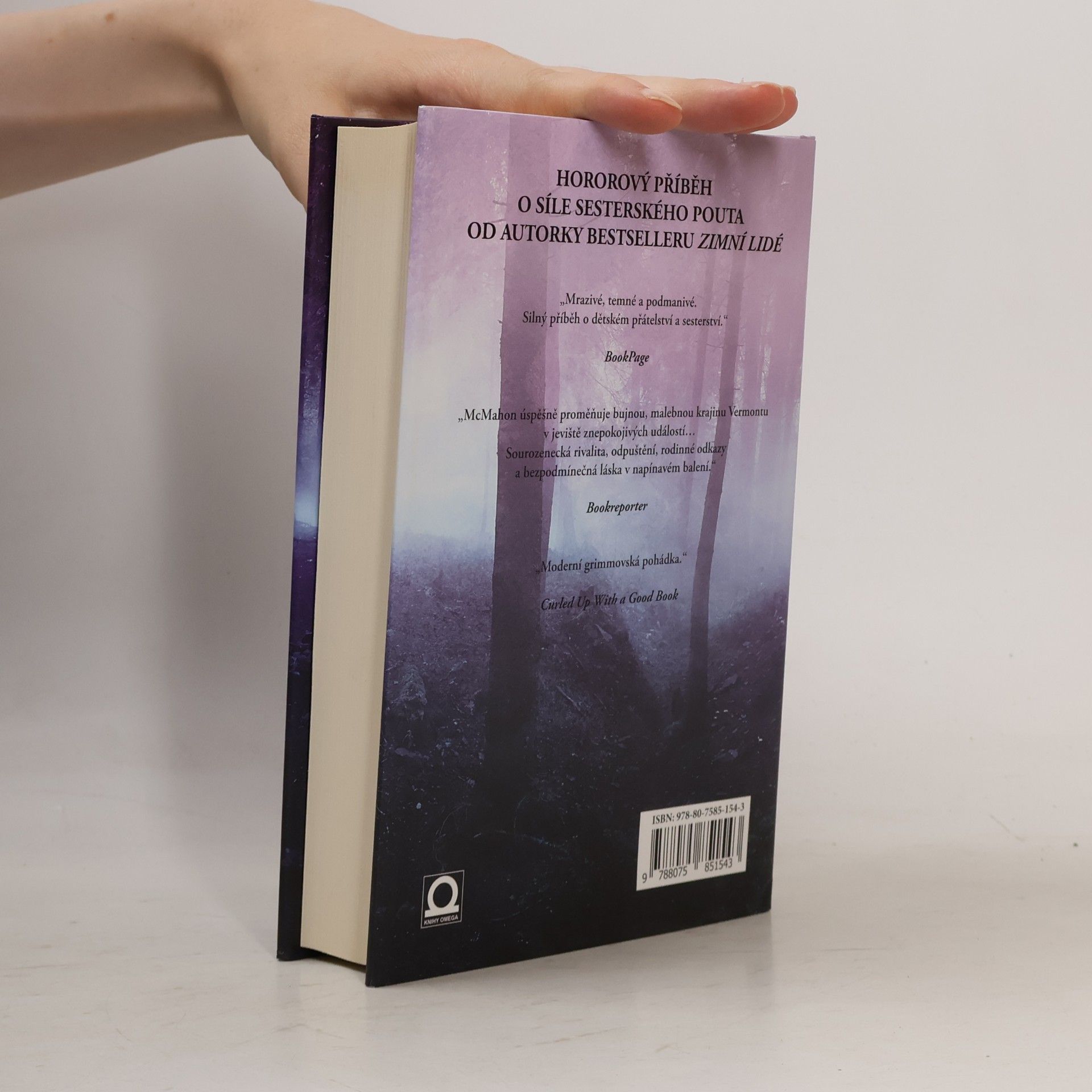Jennifer McMahon Vermontské psycho