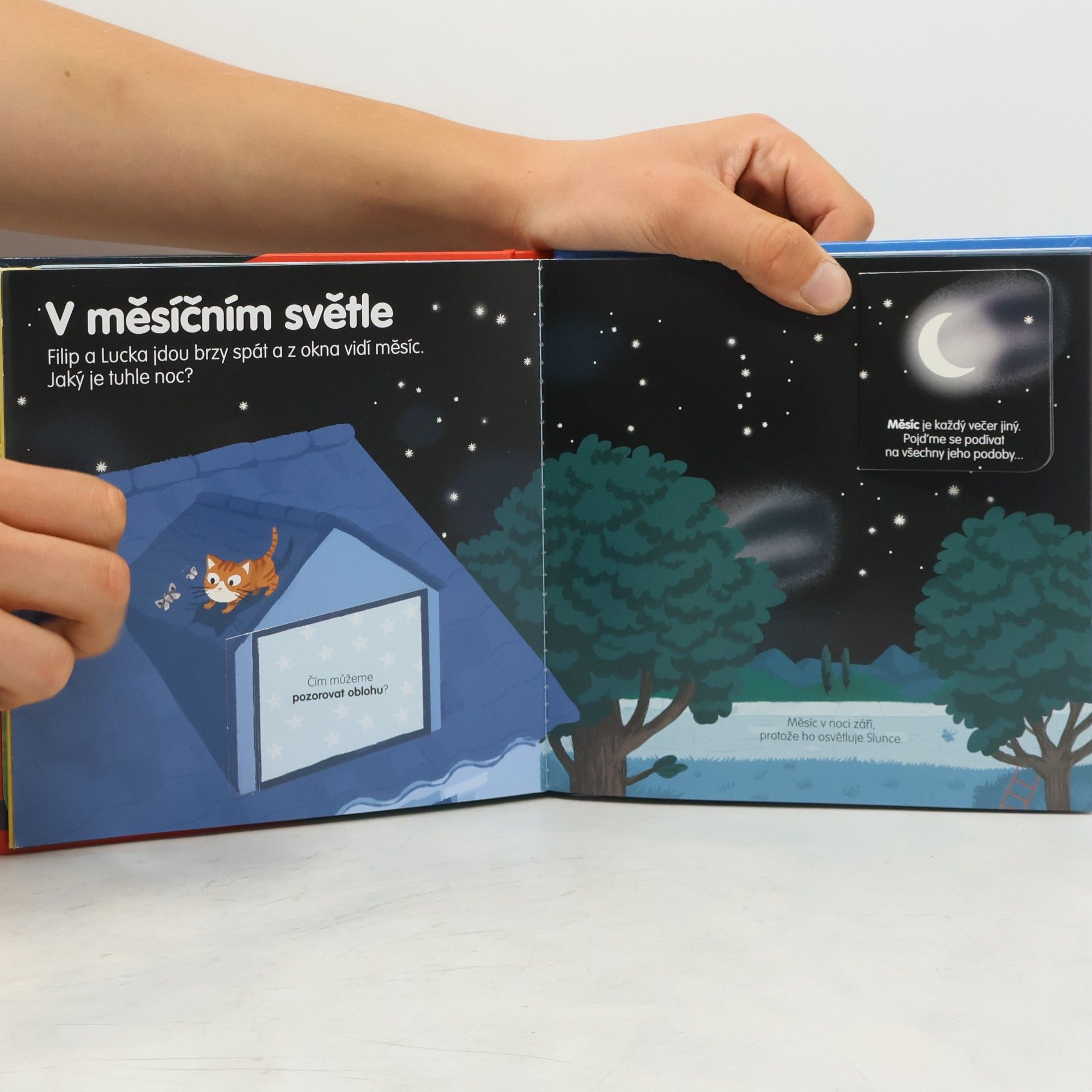 Valérie Guidoux Noc
