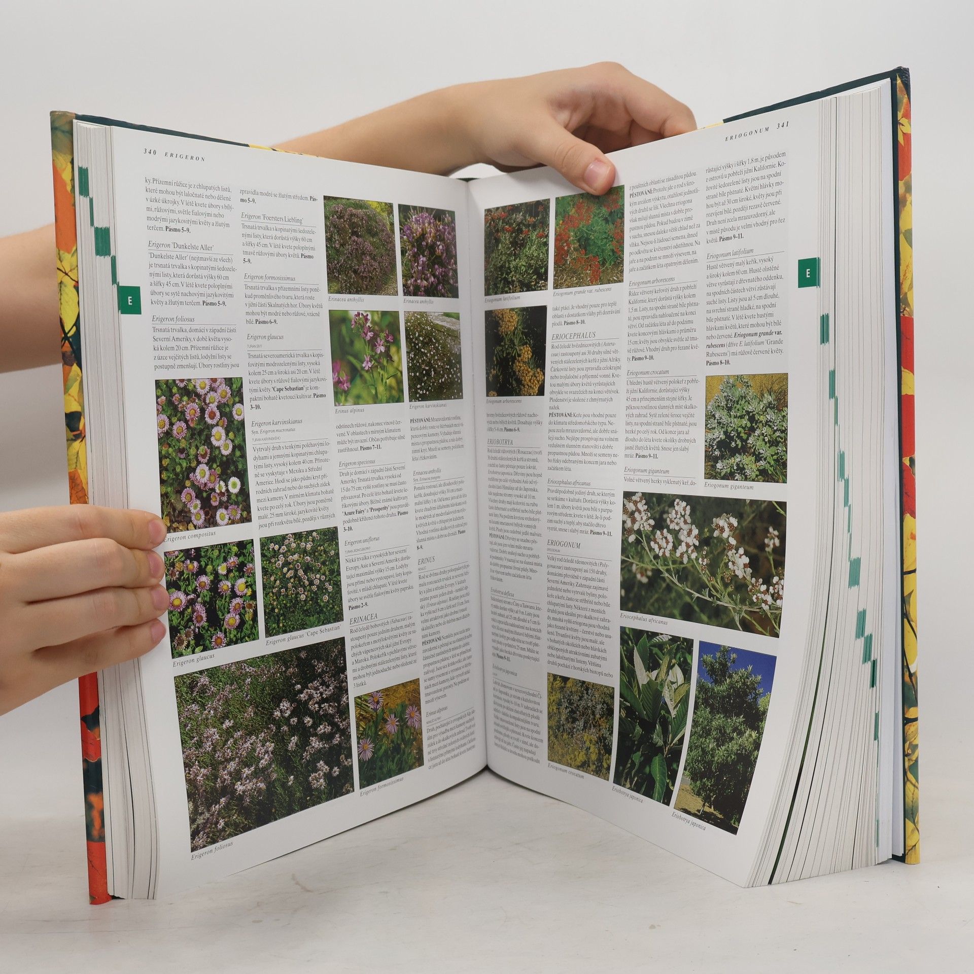 Geoffrey Burnie Botanika. Ilustrovaný abecední atlas 10 000 zahradních rostlin s návodem, jak je pěstovat