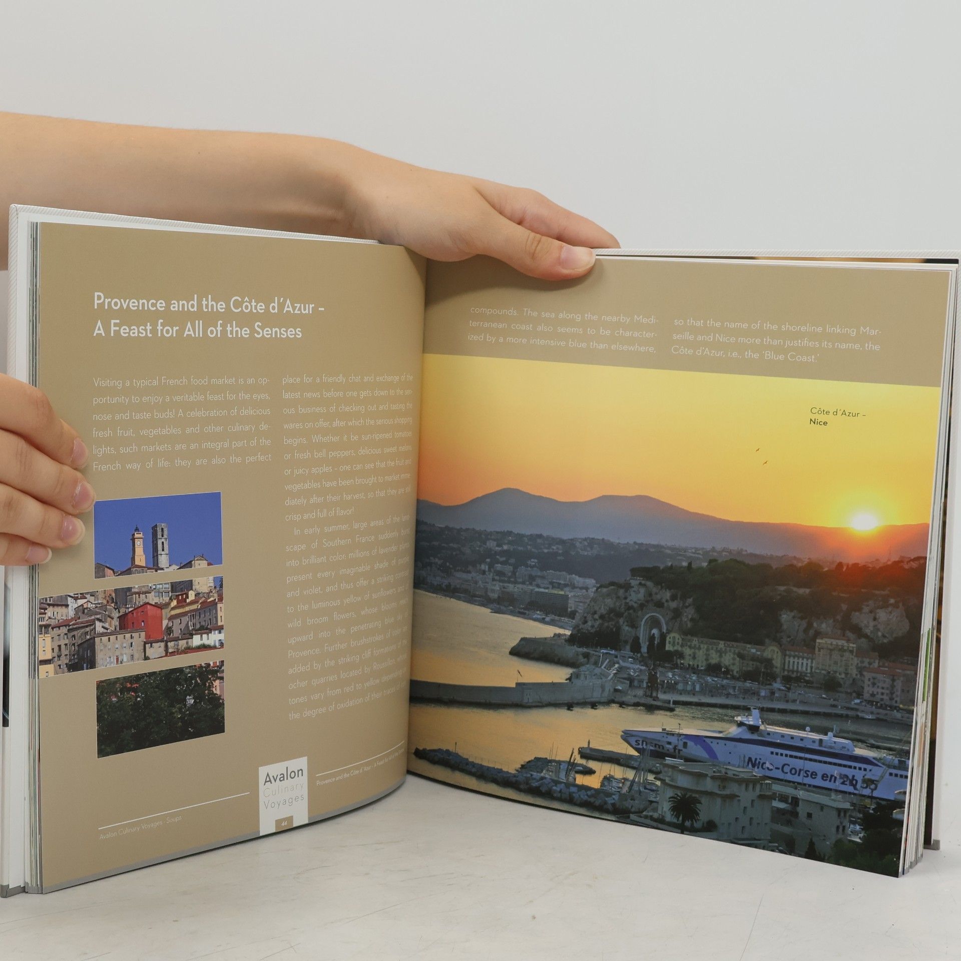Kolektiv autorů Culinary Voyages Along the Great Rivers of Europe