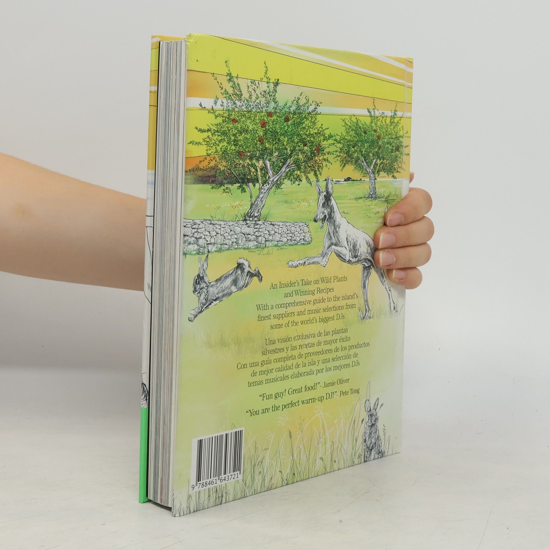 Sid Shanti Glorious Ibiza food (& music) : an insider's take on wild plants and winning recipes, with a comprehensive guide to the island's finest suppliers and selections from some of the world's biggest DJs