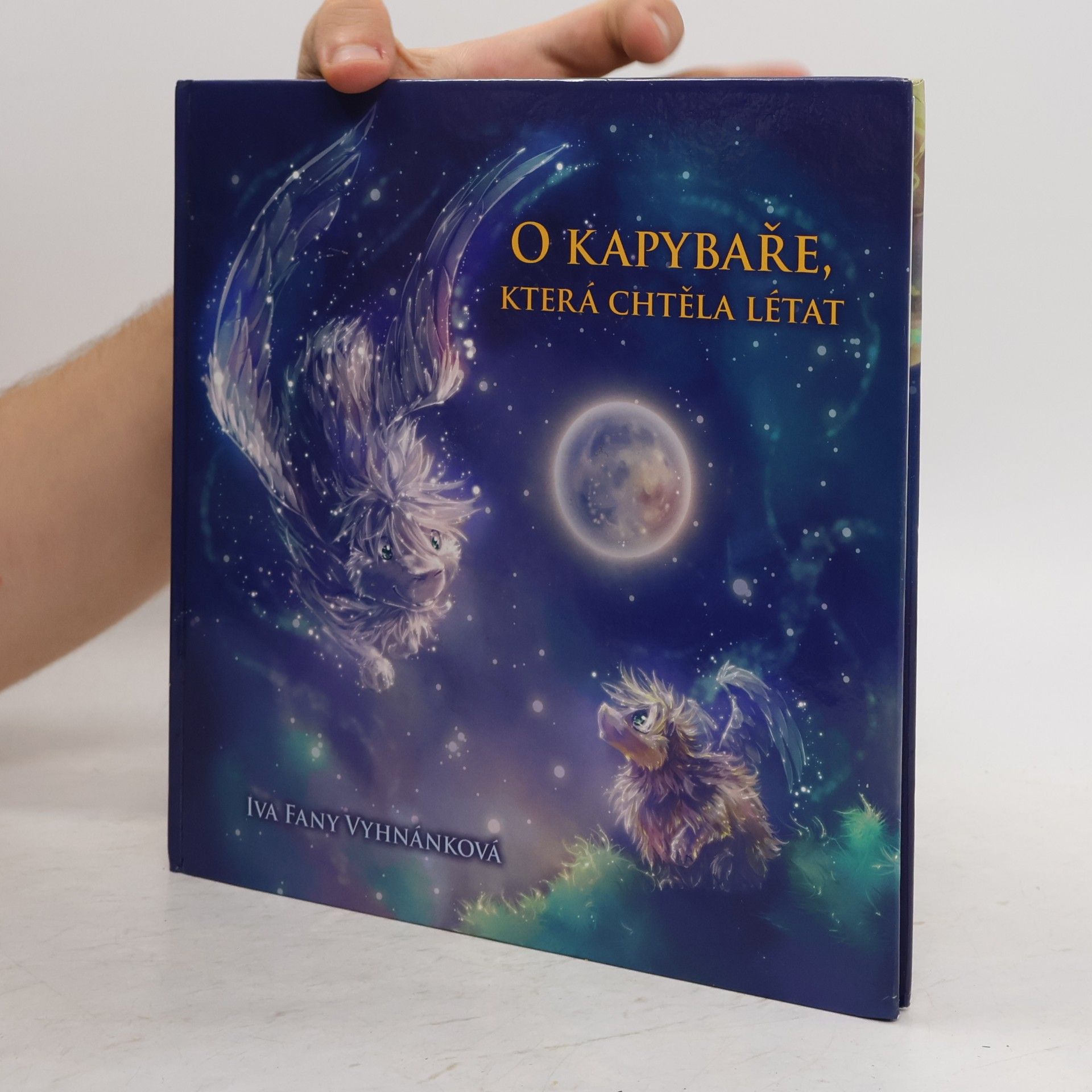 Iva Vyhnánková O kapybaře, která chtěla létat