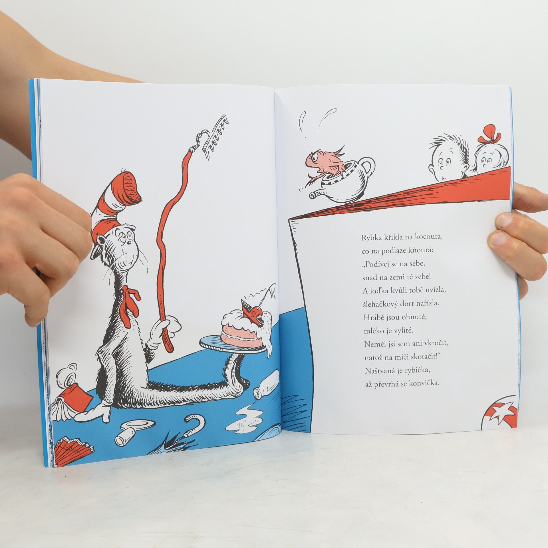 Dr. Seuss Kocour v klobouku