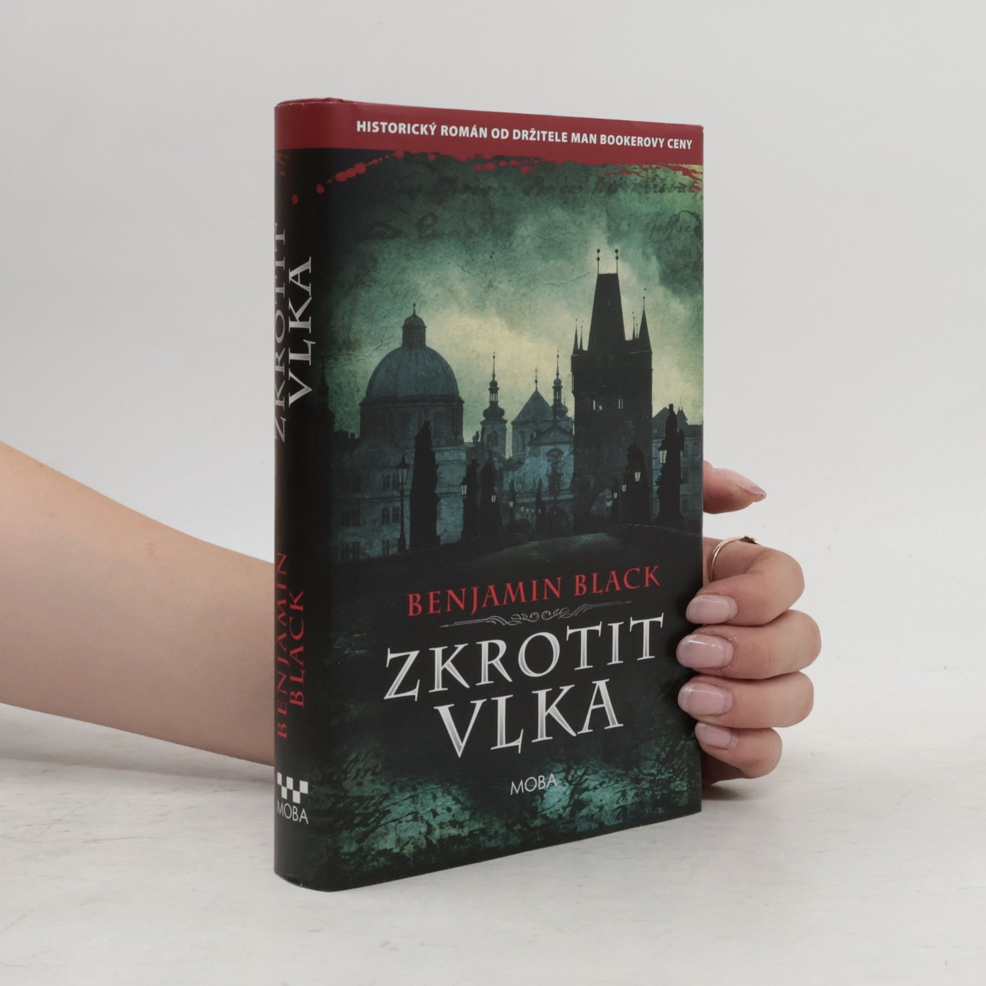 John Banville Zkrotit vlka