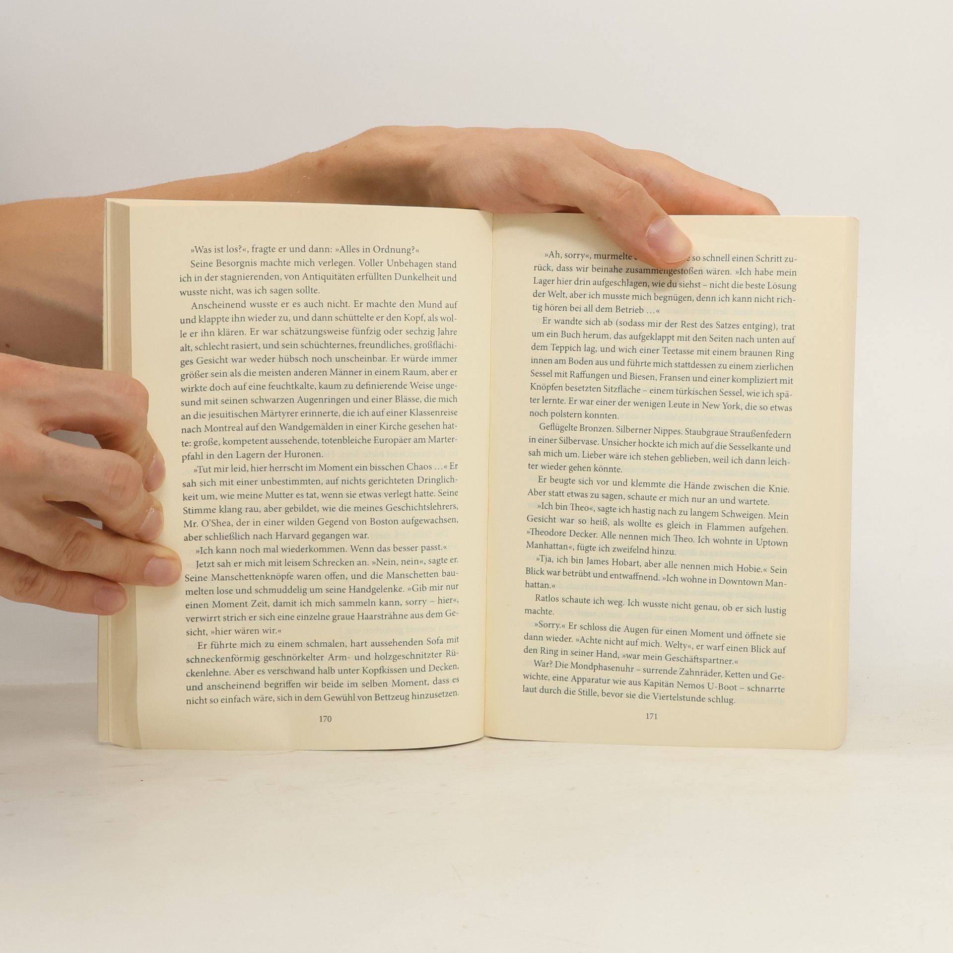 Donna Tartt Der Distelfink