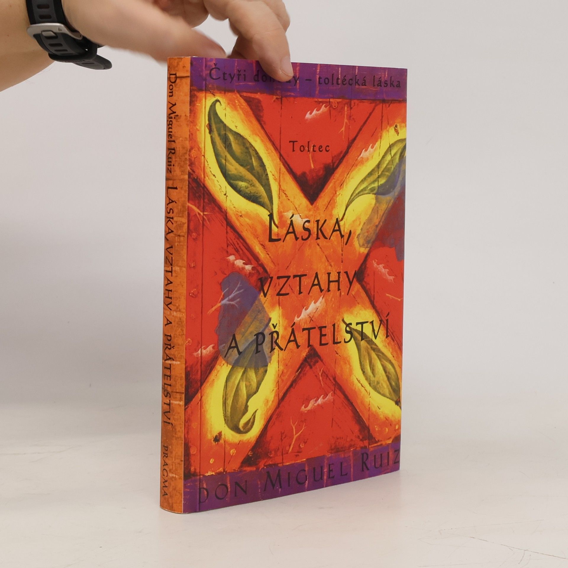 Don Miguel Ruiz Láska, vztahy a přátelství