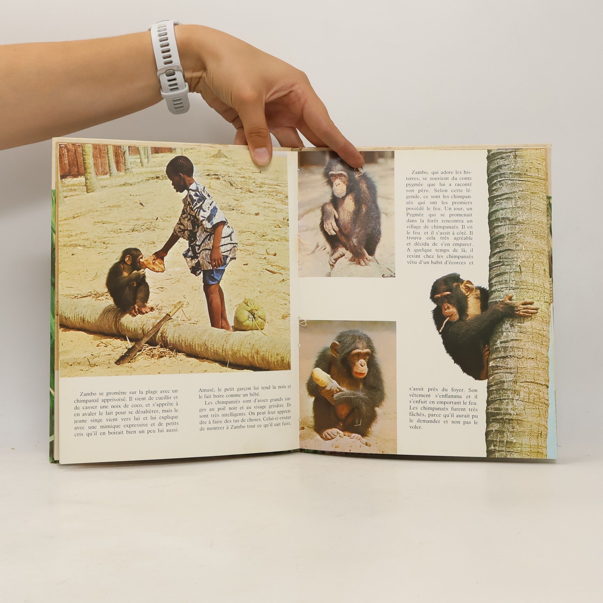 Darbois Dominique Zambo et les animaux de la savane