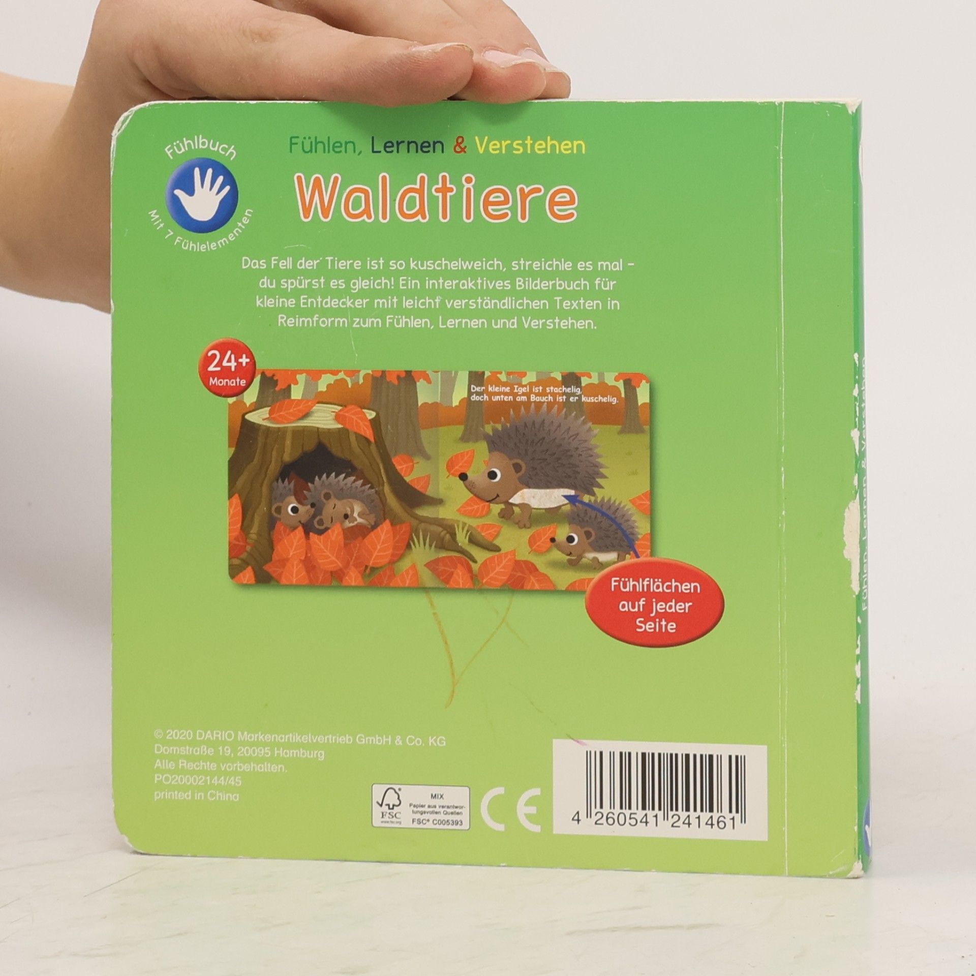 Autorenkollektiv Waldtiere