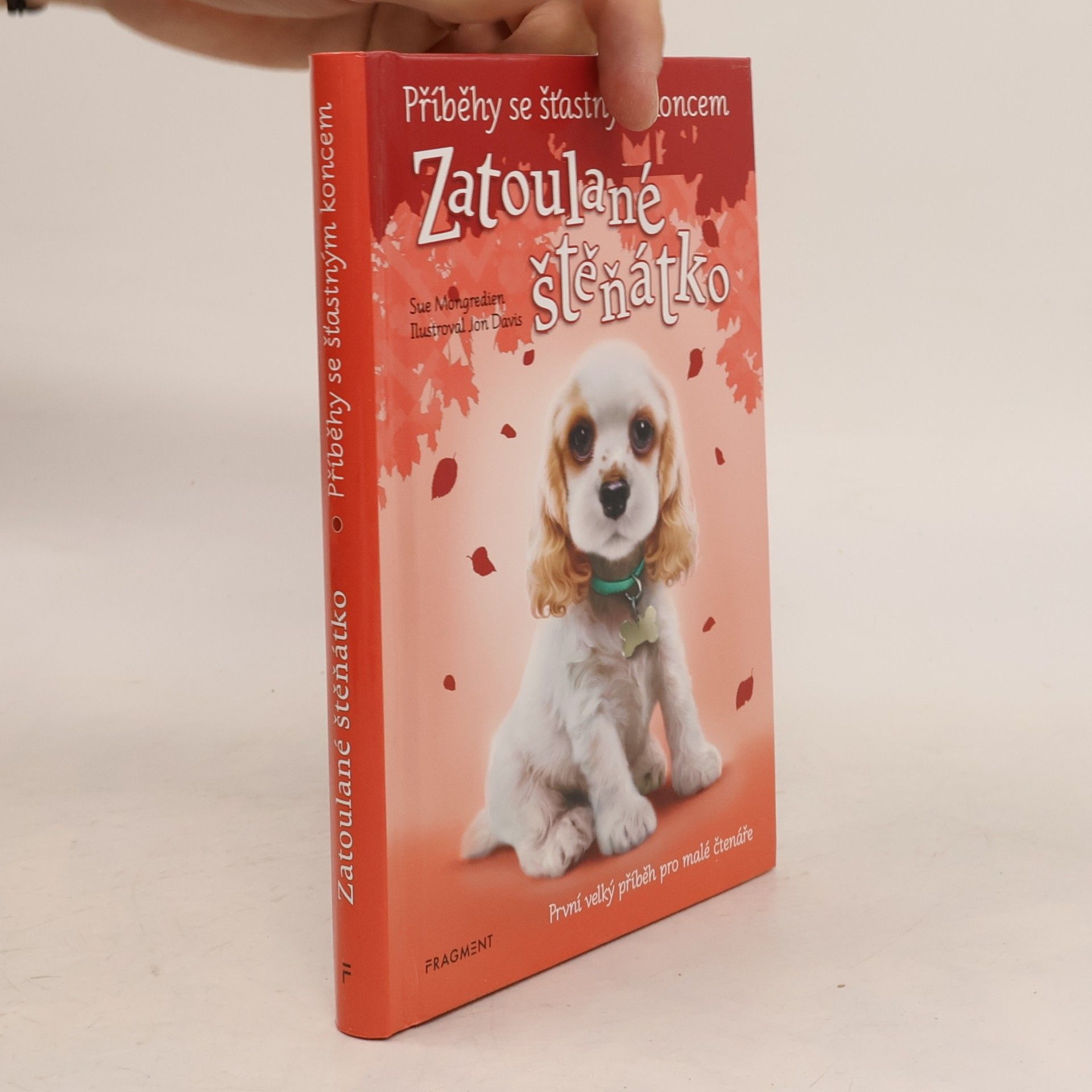 Lucy Diamond Zatoulané štěňátko