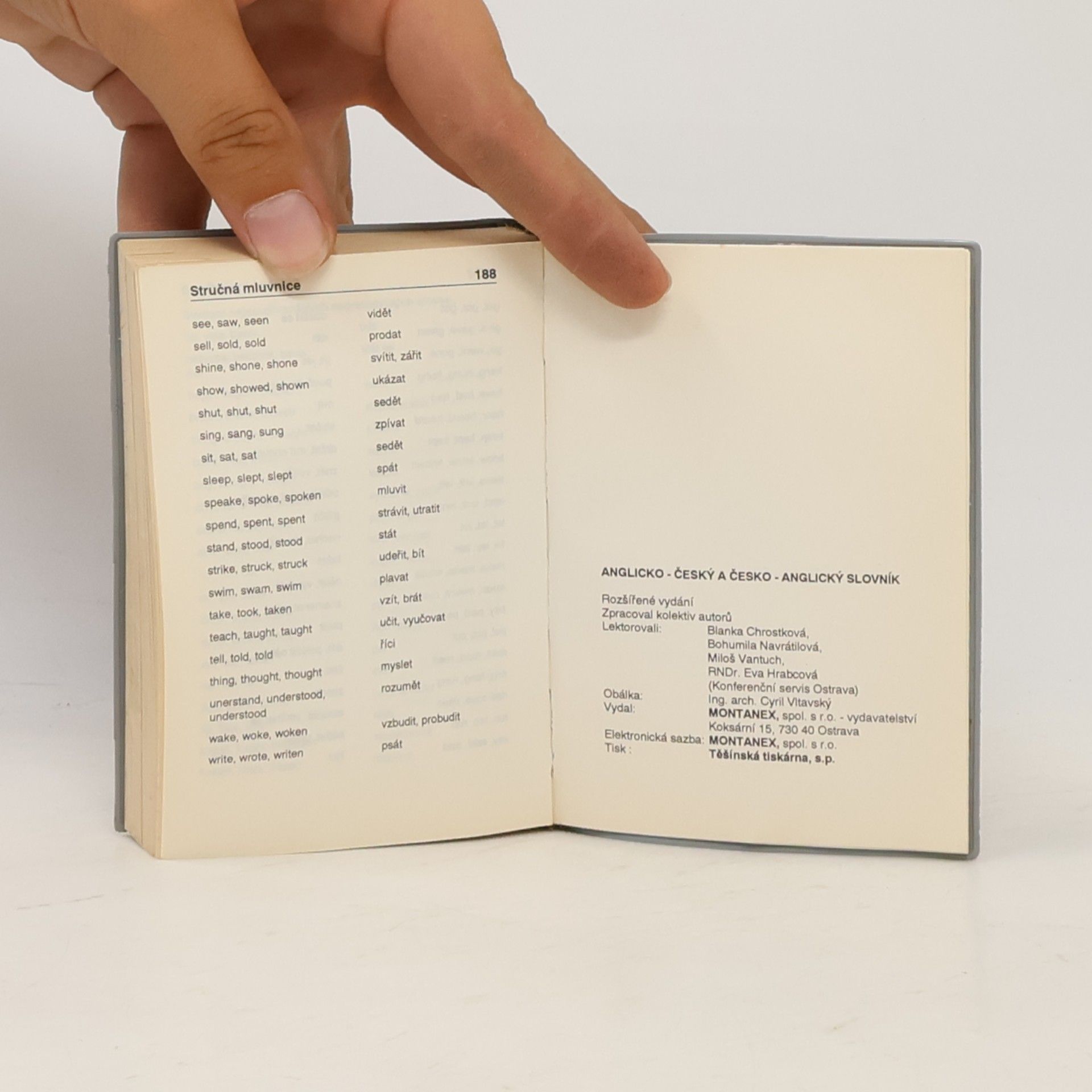 Autorenkollektiv Anglicko-český a česko-anglický slovník