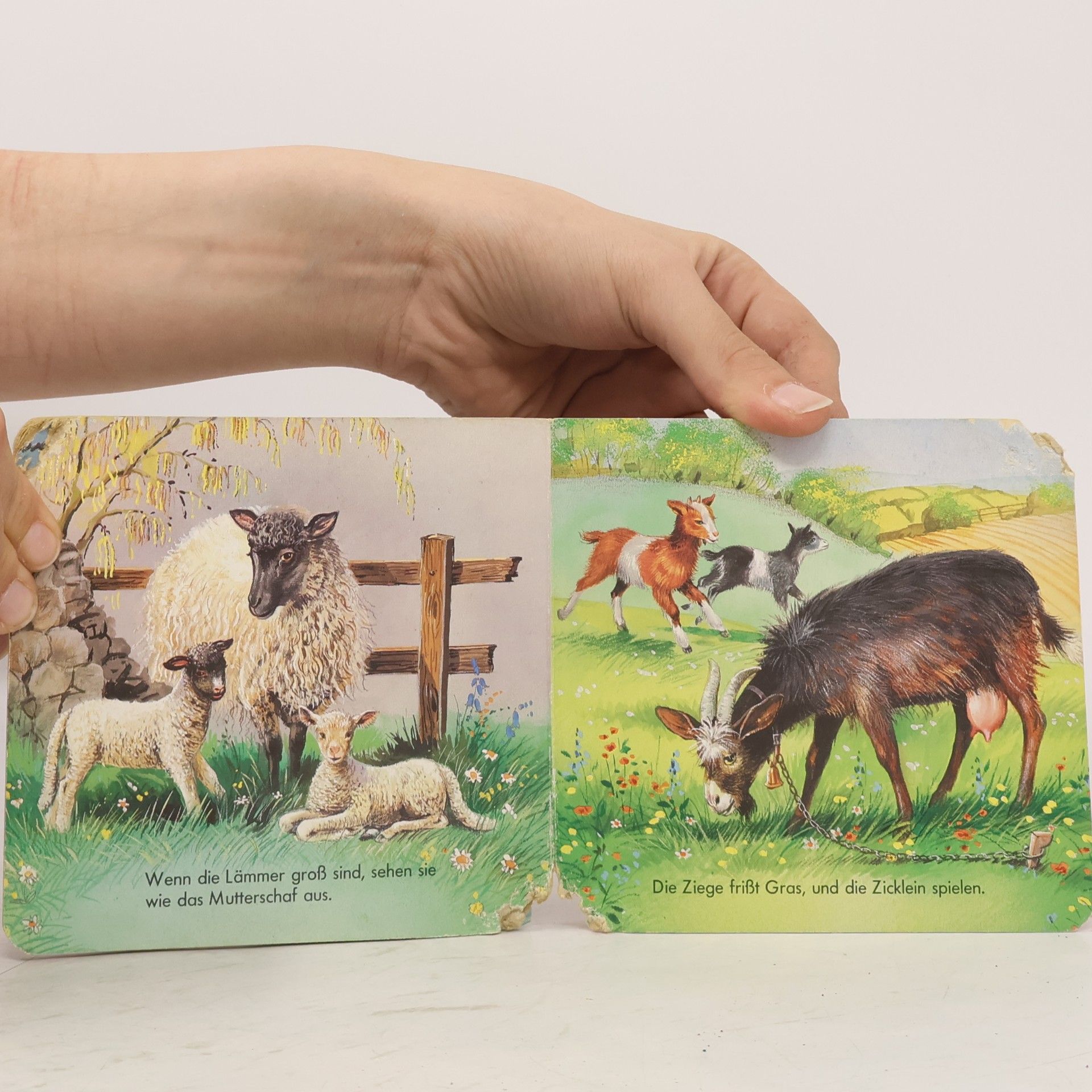 Autorenkollektiv Tiere in Haus und Hof