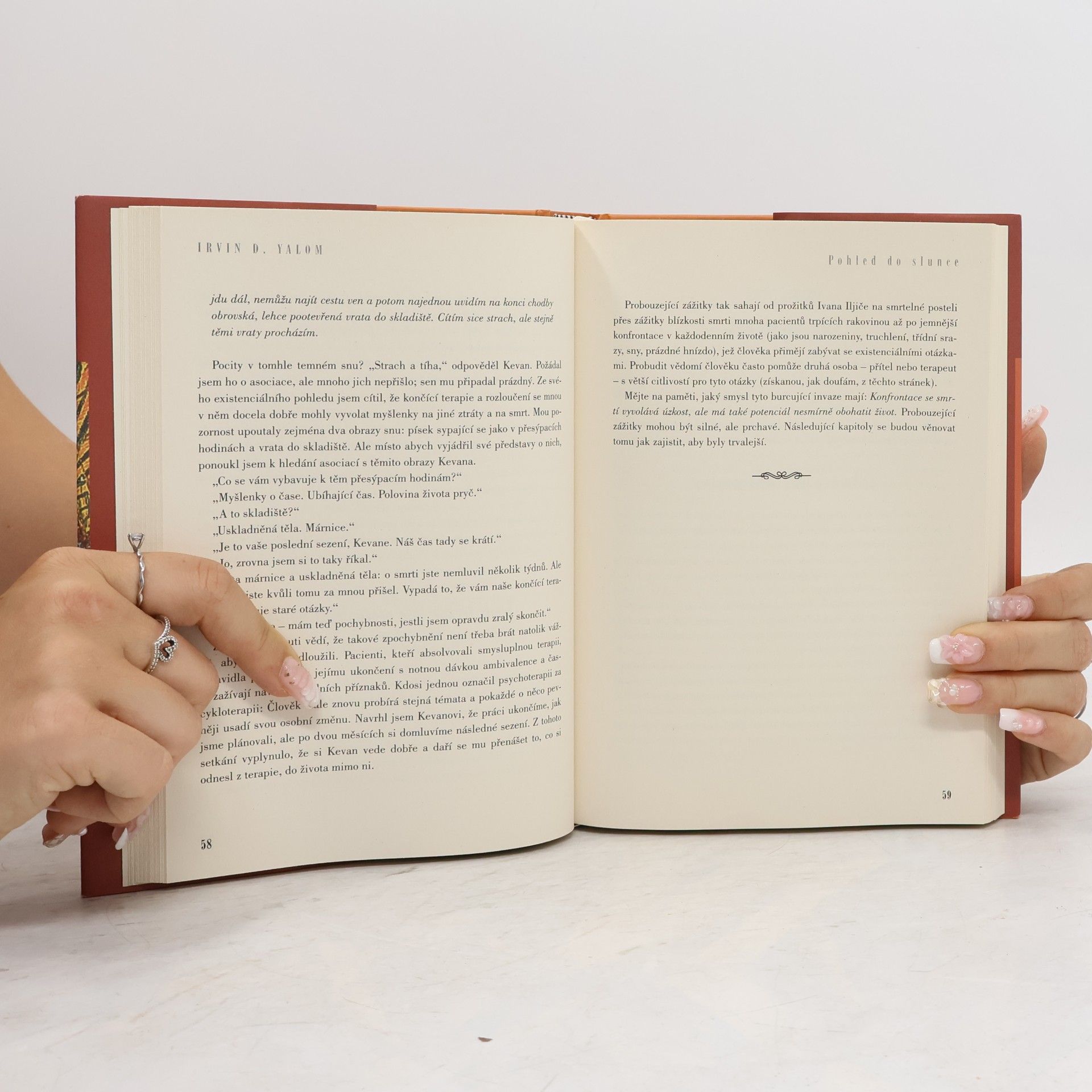 Irvin Yalom Pohled do slunce