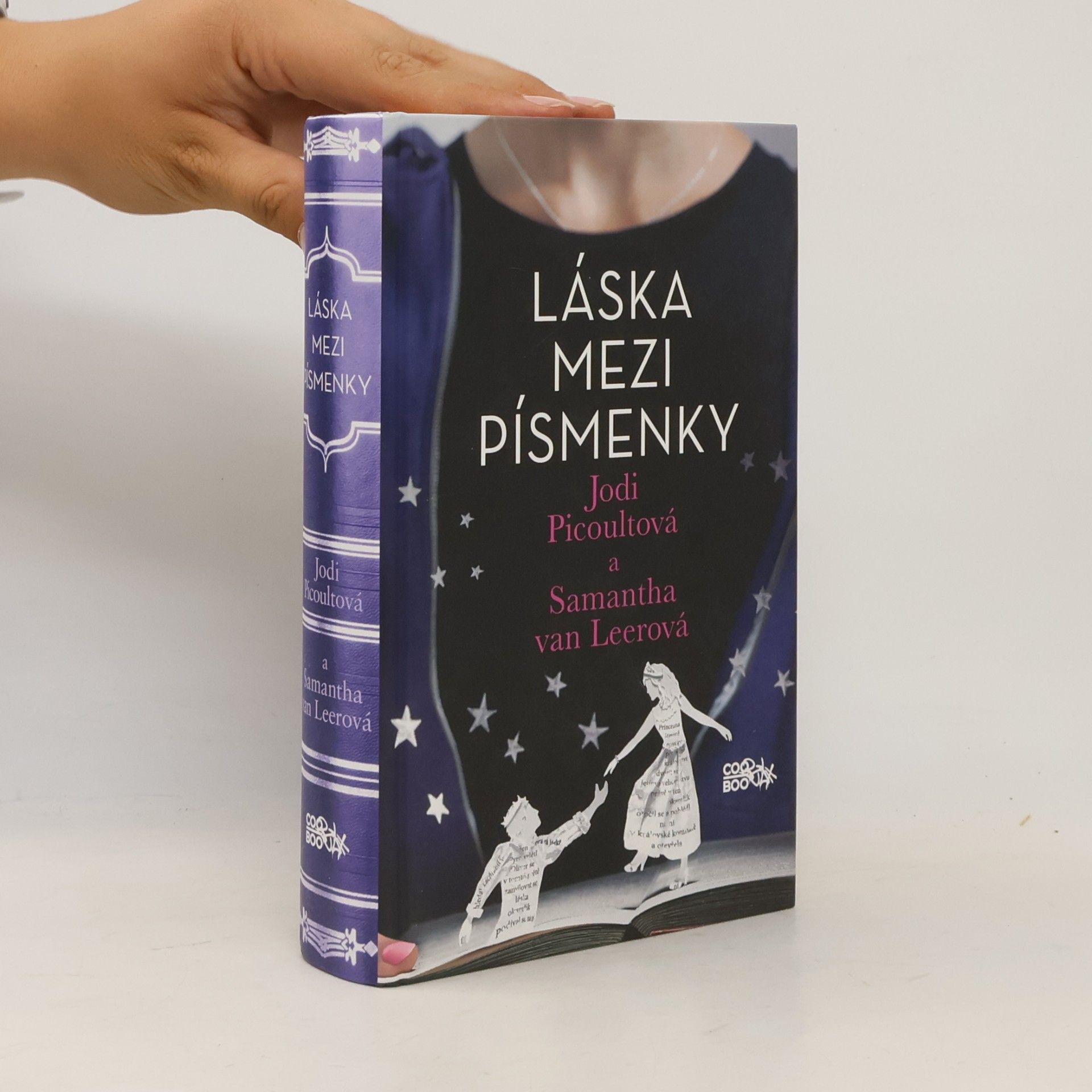 Jodi Picoult Láska mezi písmenky