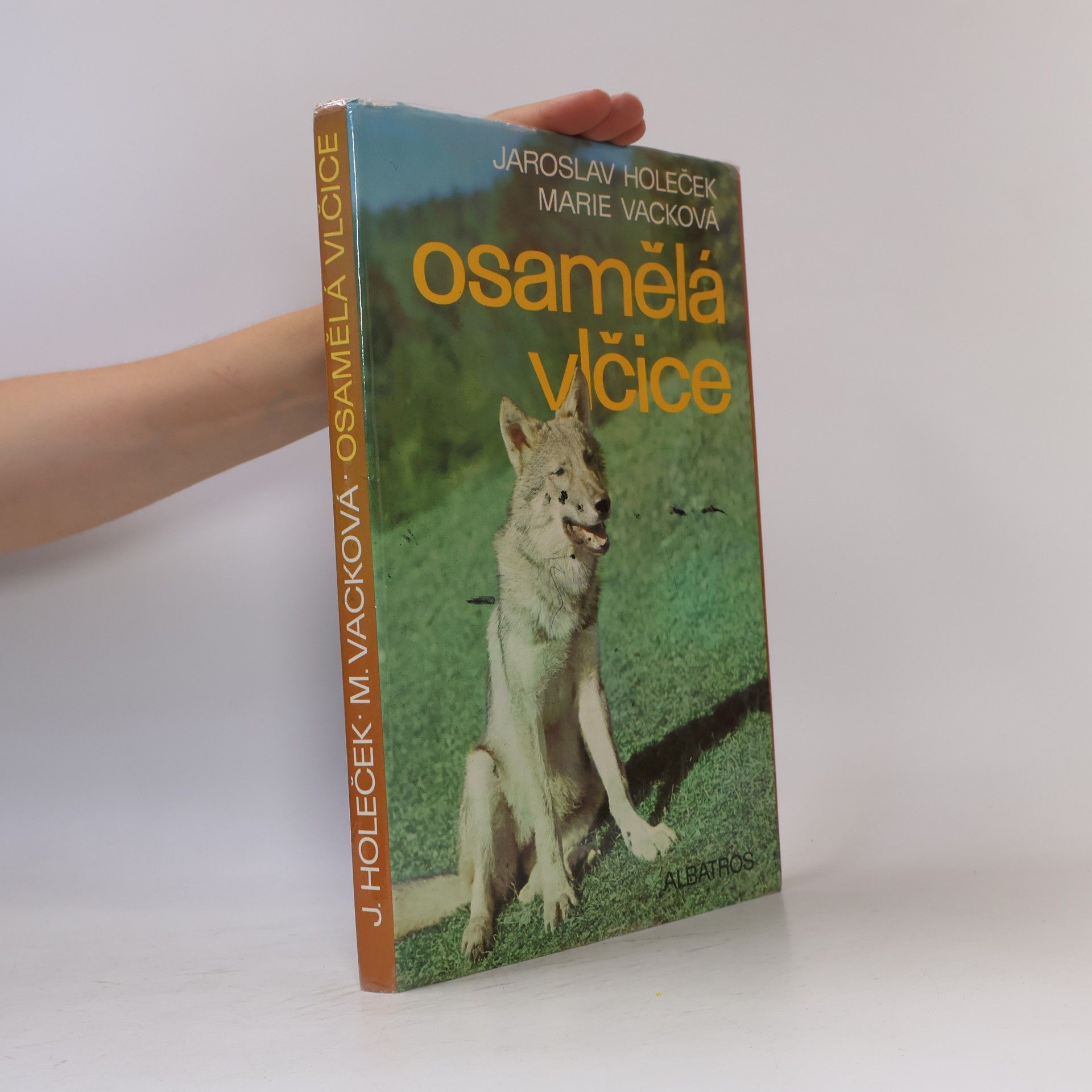 Jaroslav Holeček Osamělá vlčice