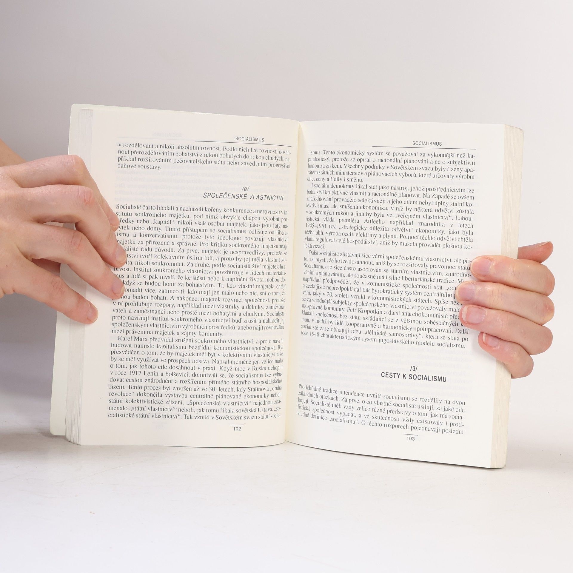 adrew heywood Politické ideologie